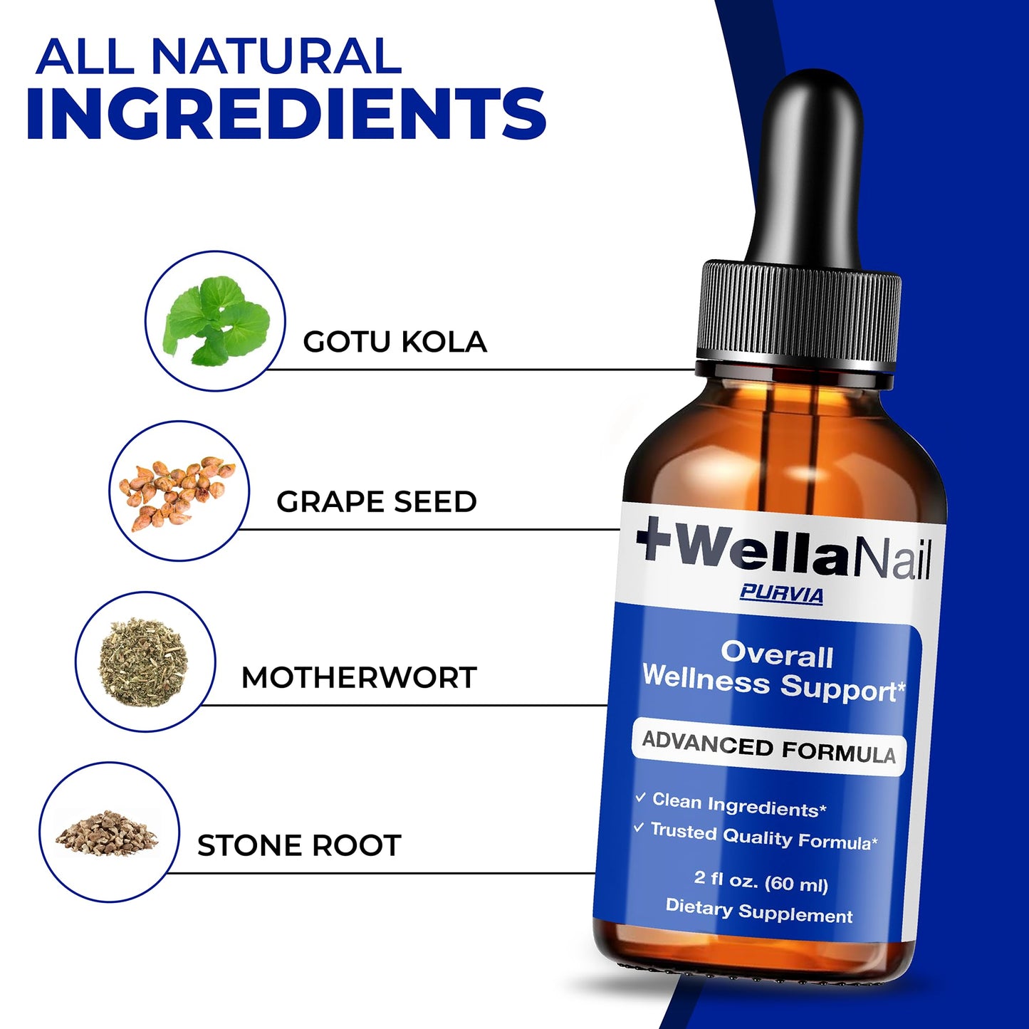 (2 Pack) WellaNail Drops, Wella Nail Care Liquid Supplement Advanced Maximum Extra Strength Formula, Toenail Hydration Premium Natural Ingredients Foot & Cuticle Support for Healthy Appearance (4oz)