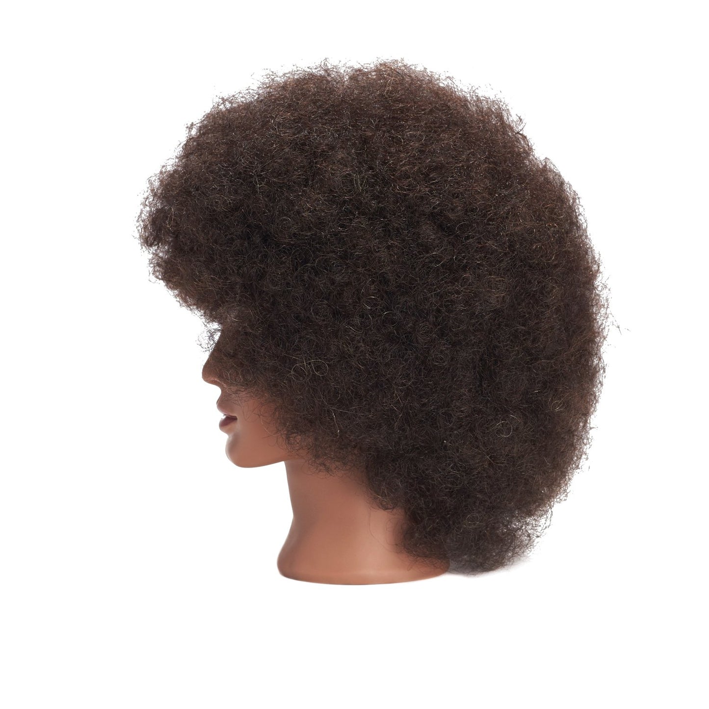 Real Hair Mannequin Head for Cosmetology | 10-Inch Afro Hair Practice Doll with Clamp Holder