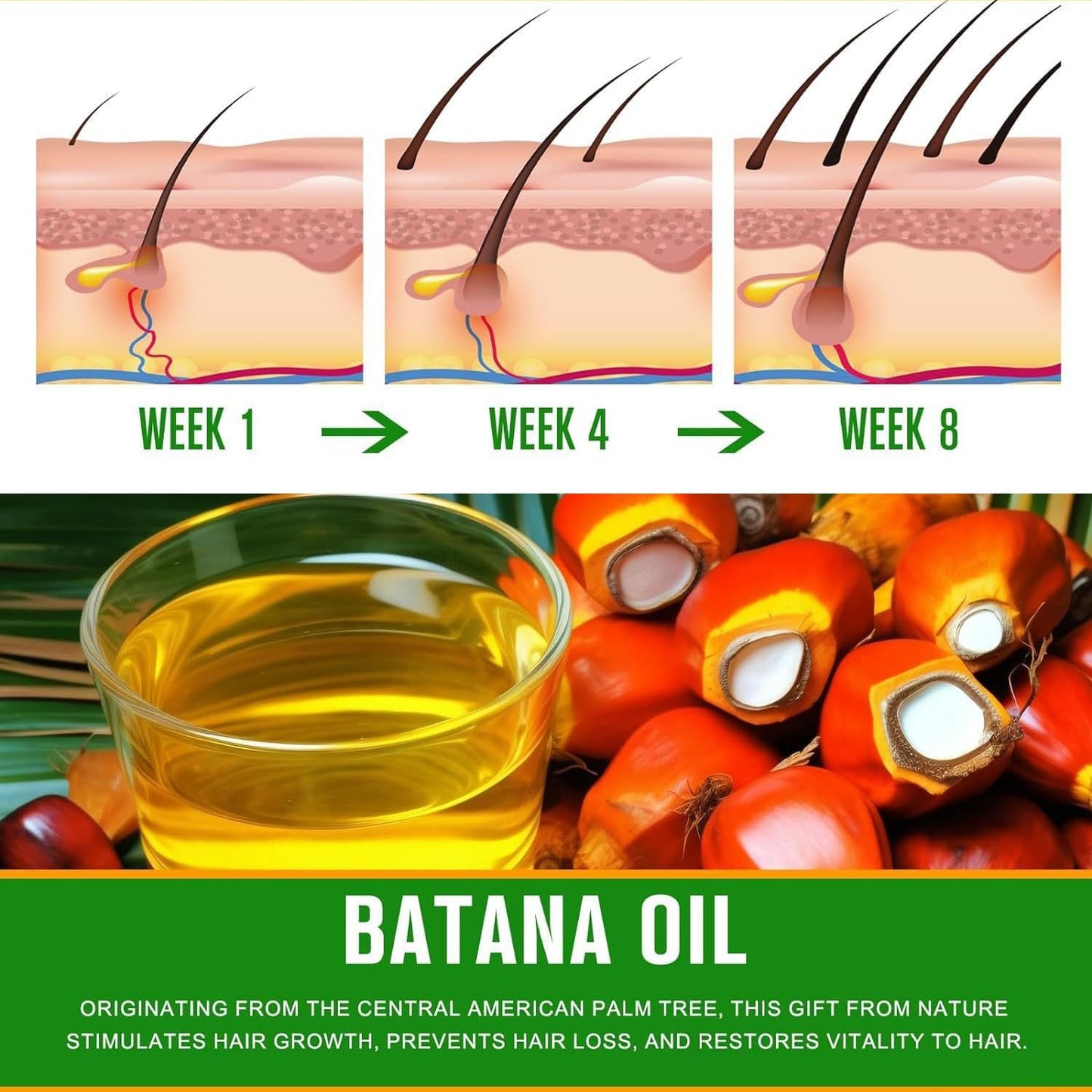 100% Raw Batana Oil for Hair Growth, Authentic Cold Pressed Dr.Sebi Organic Batana Oil Mask, Natural Hair Growth Oil Prevents Hair Loss, Eliminates Split Ends & Increases Shine,120g-1pcs