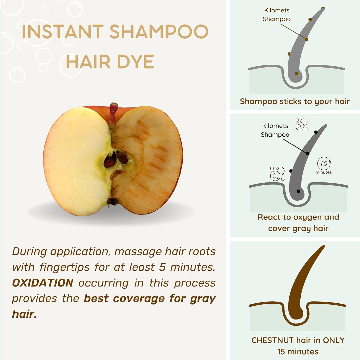 Chestnut Brown Hair Dye Shampoo - 3-in-1 Ammonia-Free Color for Grey Coverage | Instant Coloring Gift for Parents