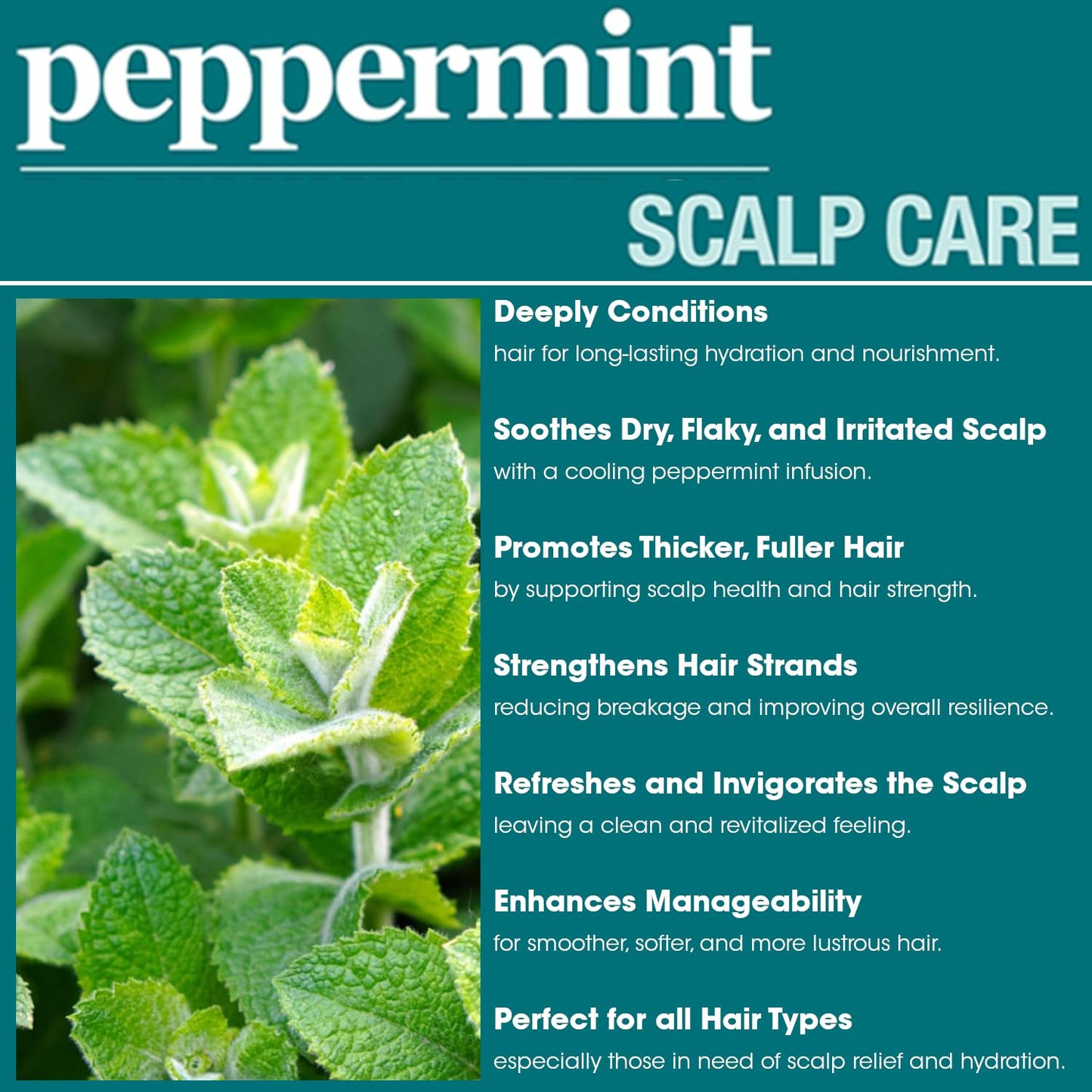 Difeel Peppermint Scalp Care Shampoo 33.8 oz. - Peppermint Shampoo Made with Natural Ingredients