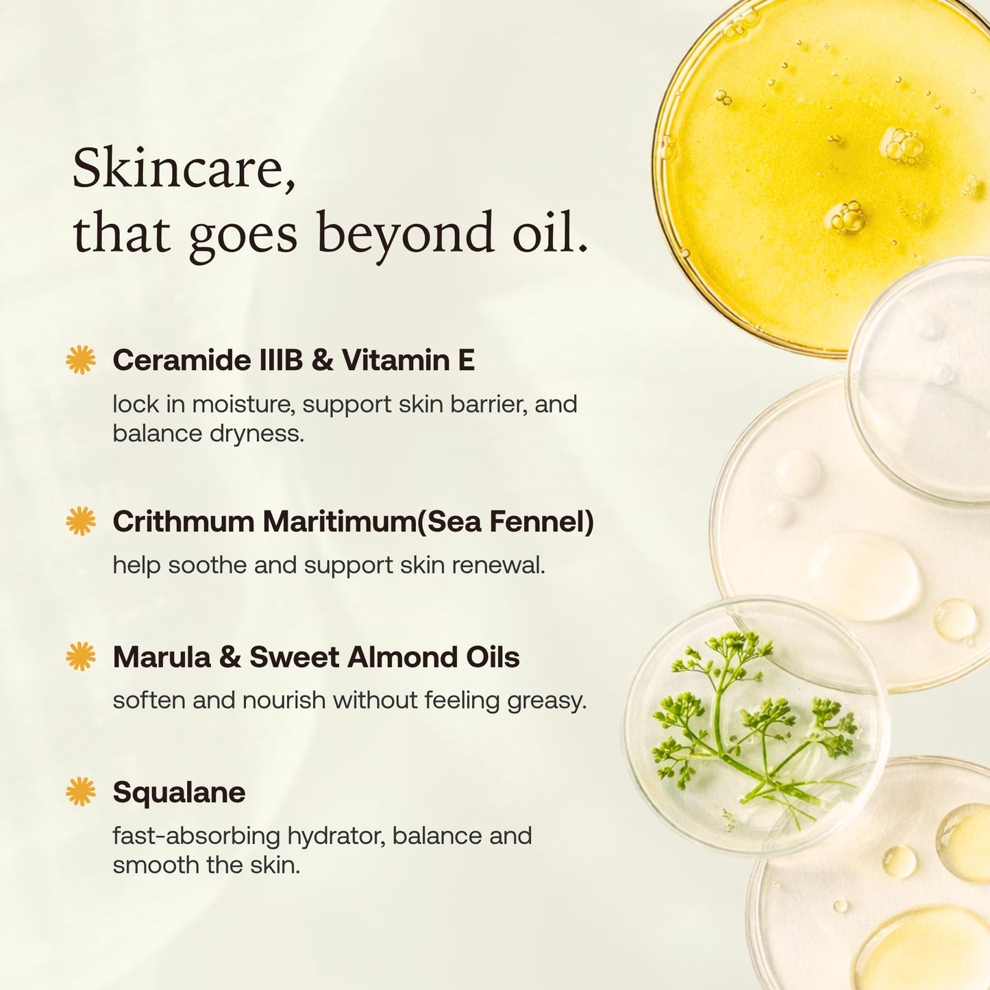 Mulen Body Oil for Dry & Sensitive Skin, Hydrating & Moisturizing for Women After Shower Glow, Fast-Absorbing, Non Greasy Luxury Oil with Sea Fennel, Vitamin E, Patented Light Fragrance (3.4 Fl Oz)