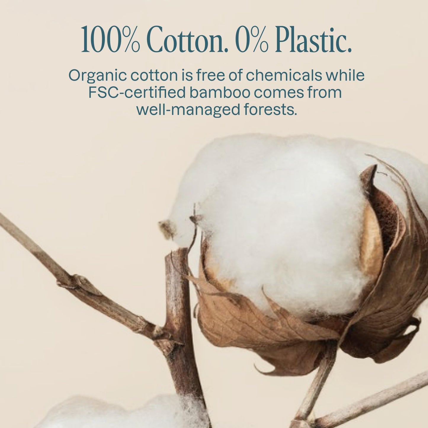 Cliganic Organic Bamboo Cotton Swabs, 200 Count - 100% Pure Natural Cotton, Chlorine-Free Hypoallergenic, Soft, Gentle & Absorbent Buds