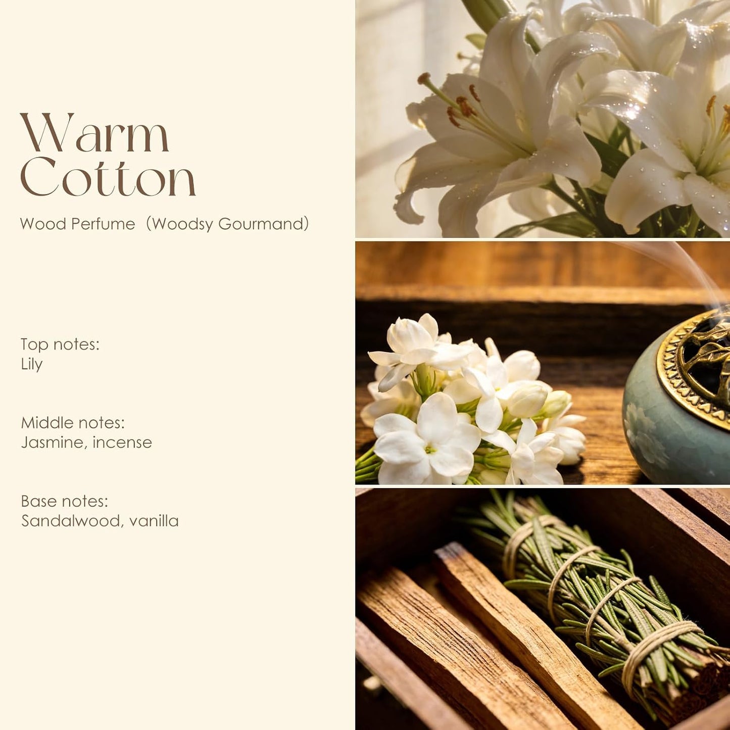 Women’s Perfume Discovery Set - 4 Travel-Size Floral, Citrus, Tea & Woody Scents | 10ml Each Eau de Toilette Gift Set