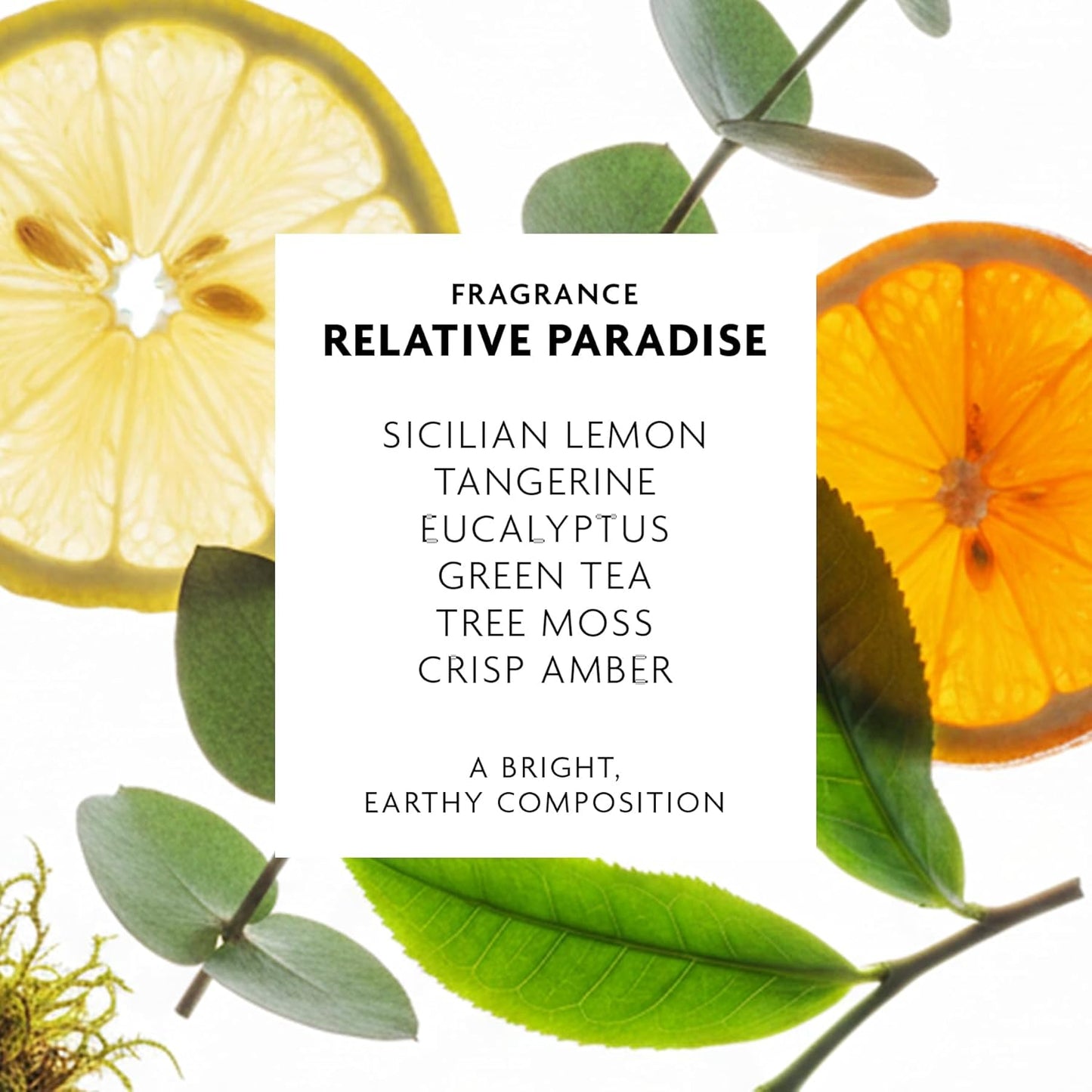 R+Co Badlands Dry Shampoo Paste - Texturizing Styling Paste for Oily Hair | Matte Finish, 3.5 oz