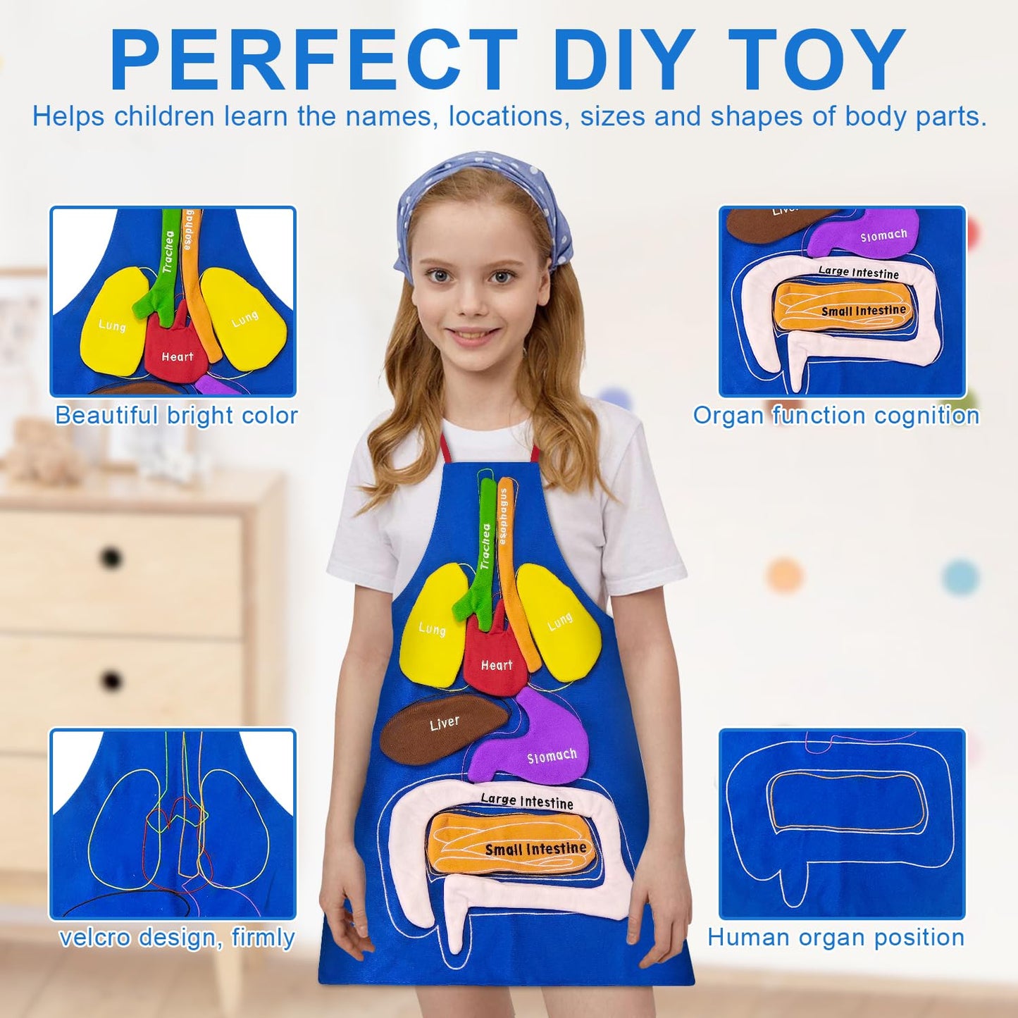 BOHEMIABY 3D Organs Apron, Anatomy for Kids Apron Body Parts Organs Educational Toys, Soft Disassembled Internal Organs Plush Model for Home Preschool Teaching Aid Boy Gir