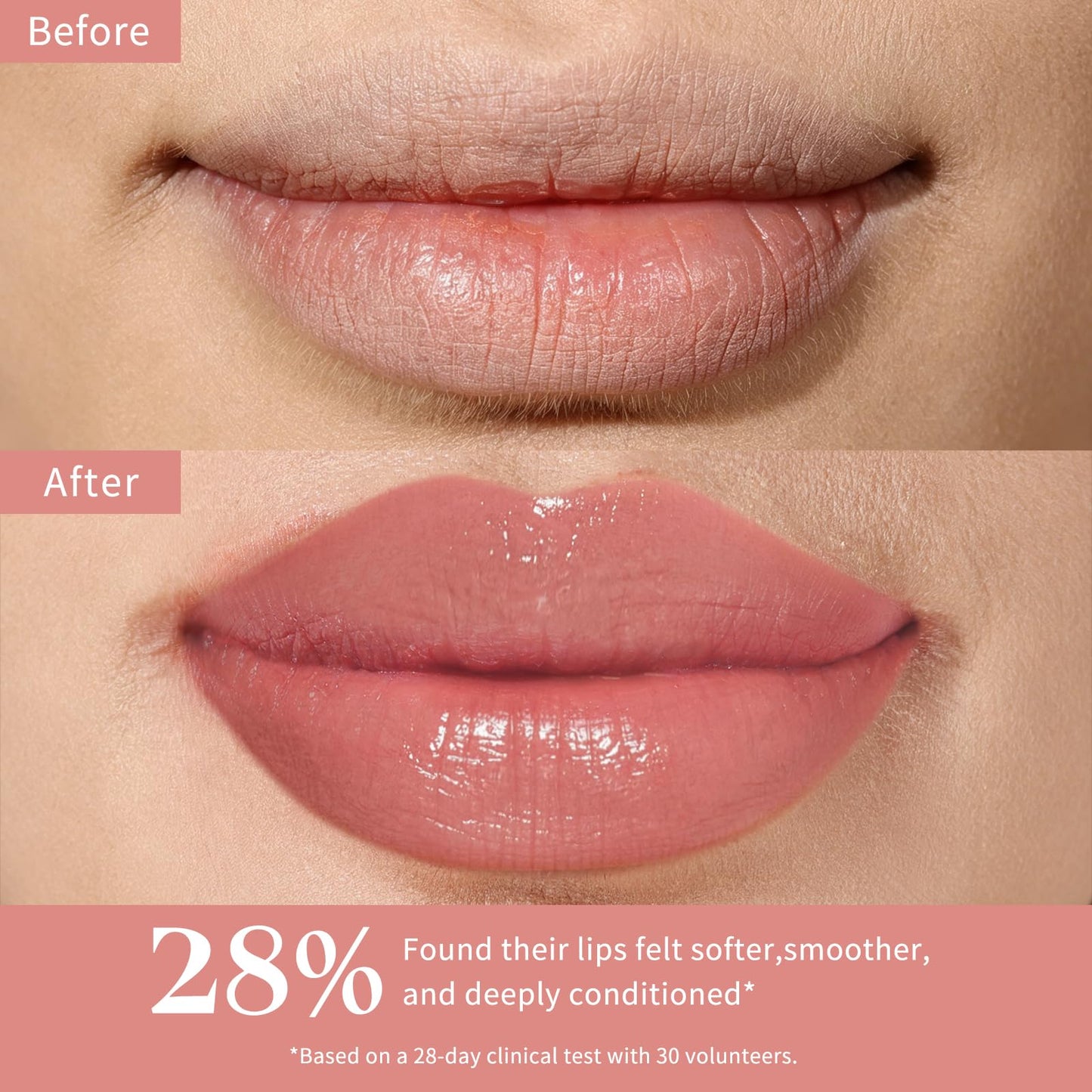 bayfree Plumping Tinted Lip Balm for Dry Lips, 5 PCS Long Lasting Hydrating Chapstick with Jojoba Seed Oil & Vitamin E, Buildable Color Lipbalm, Glossy Finish, Vegan for All Skin Tones, Garden