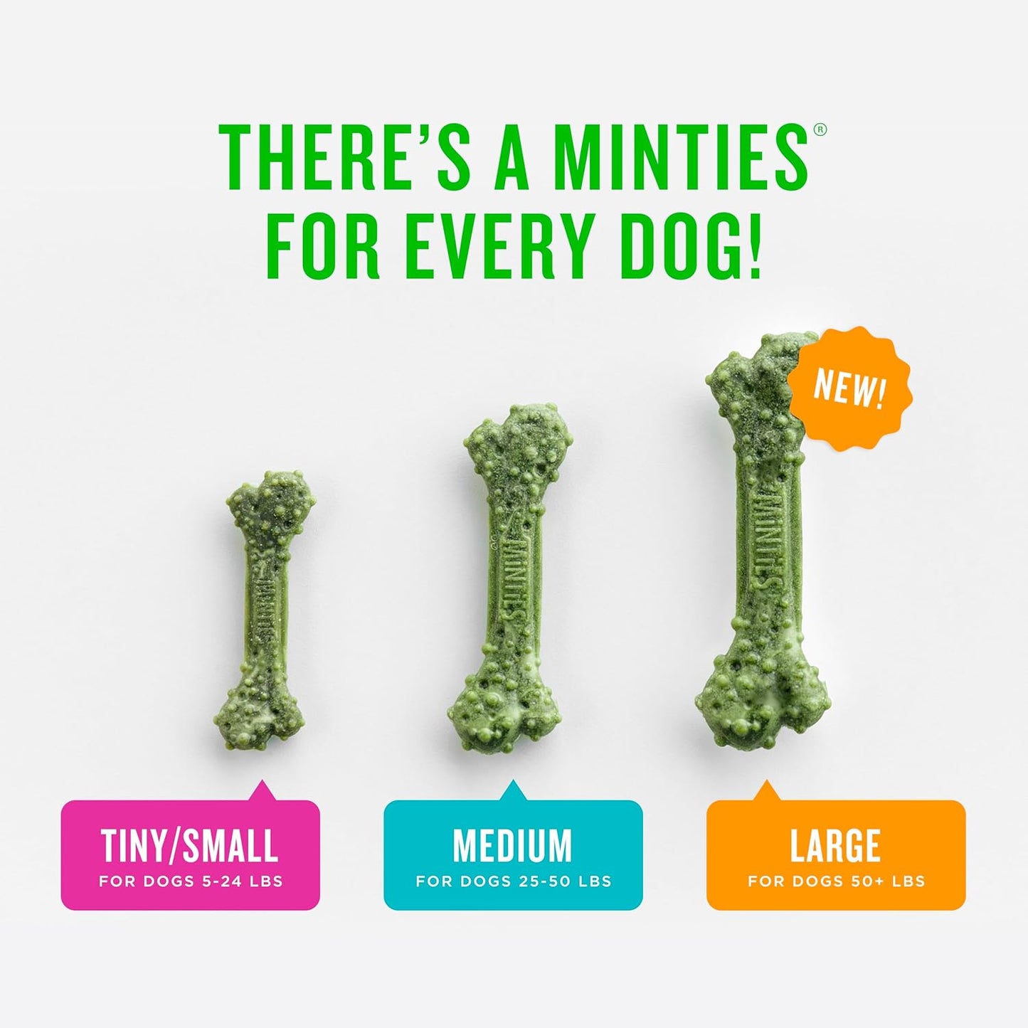 Dog Dental Bone Treats - Minties for Fresh Breath & Clean Teeth | Tiny/Small, 16 Ounces, 40 Count