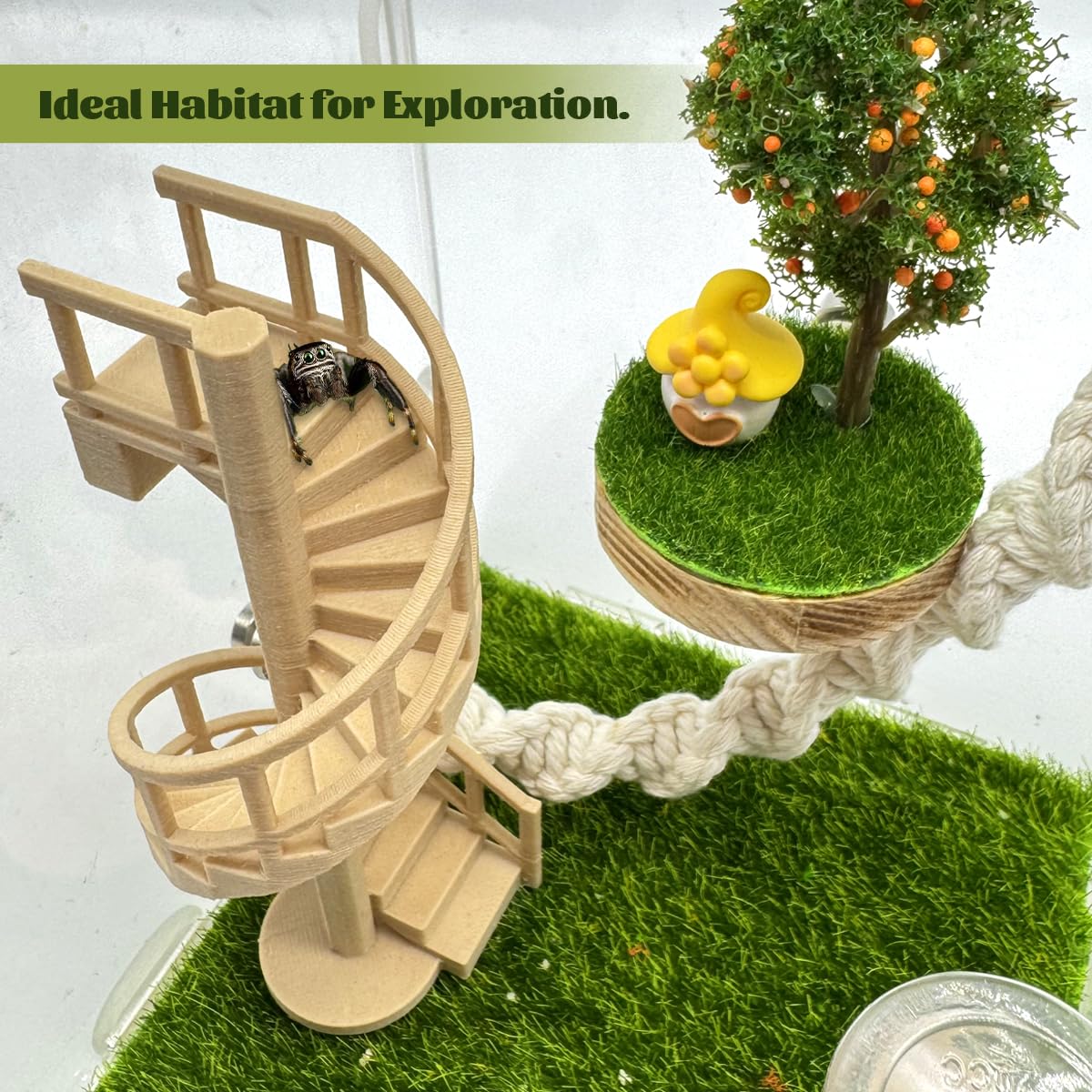 Jumping Spider Enclosure Accessories – Fun Spinning Stairs, Jumping Spider Climbing Toy with Magnetic Mount for Jumping Spider Enclosure Accessory Decoration (Beige)