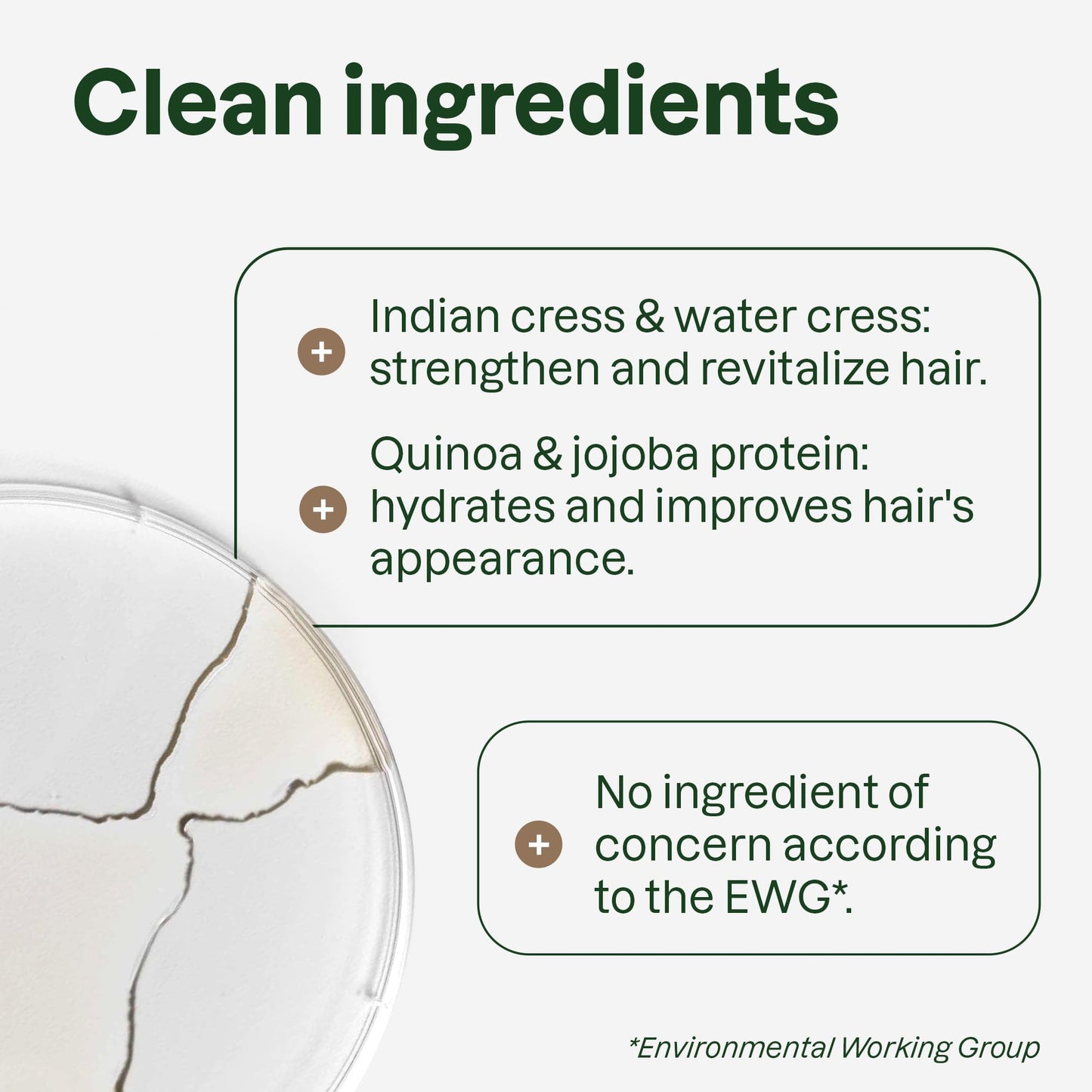 ATTITUDE Hydrating Shampoo Refill, Peppermint & Sweet Orange, EWG Verified with Essential Oils, Vegan & Plant-Based, For Dry and Damaged Hair, 67.6 Fl Oz
