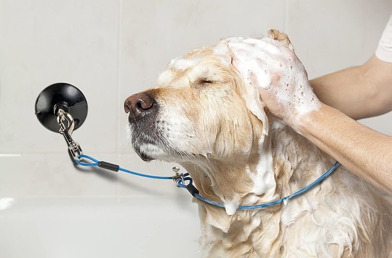 Furzone Dog Durable Bathing Grooming Shower Restraint Heavy Duty Bath Tether Leash with Suction Cup Dogs Blue