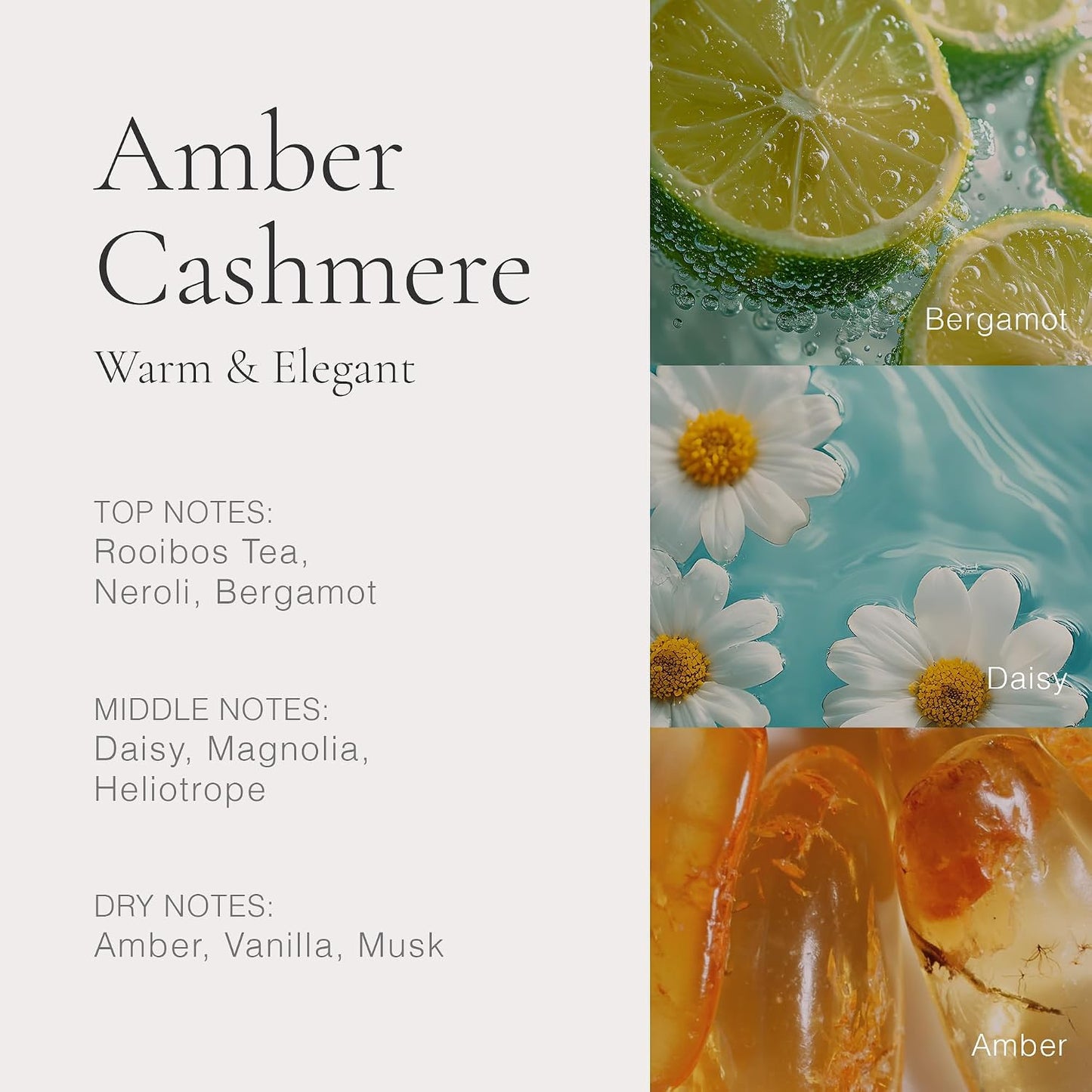 Gentle Hydrating Water-Based Perfume - Long-Lasting Fragrance for Everyday Wear | Cruelty-Free, Alcohol-Free
