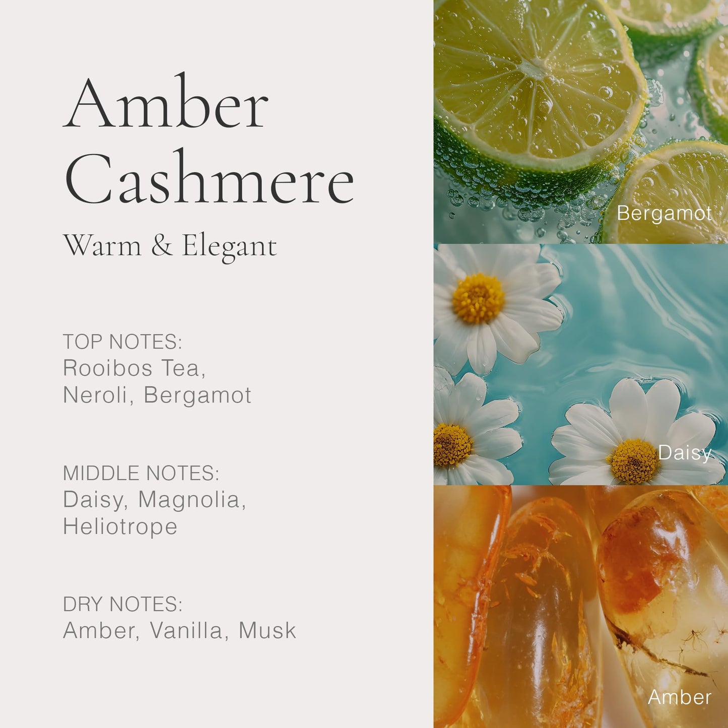 CLEAN H2EAU Amber Cashmere