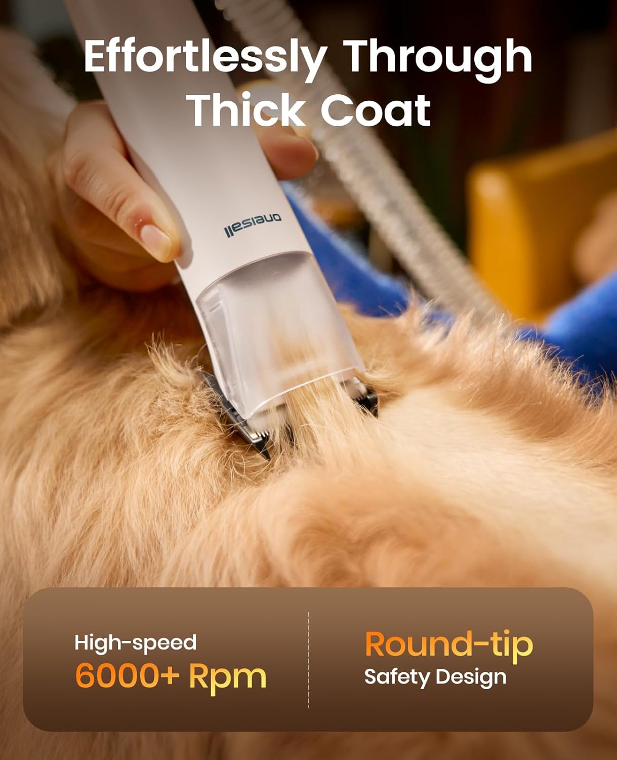 Dog Grooming Vacuum - 15000Pa Suction, Captures 99% Pet Hair | Quiet Brush & 4 Accessories, 2L Canister