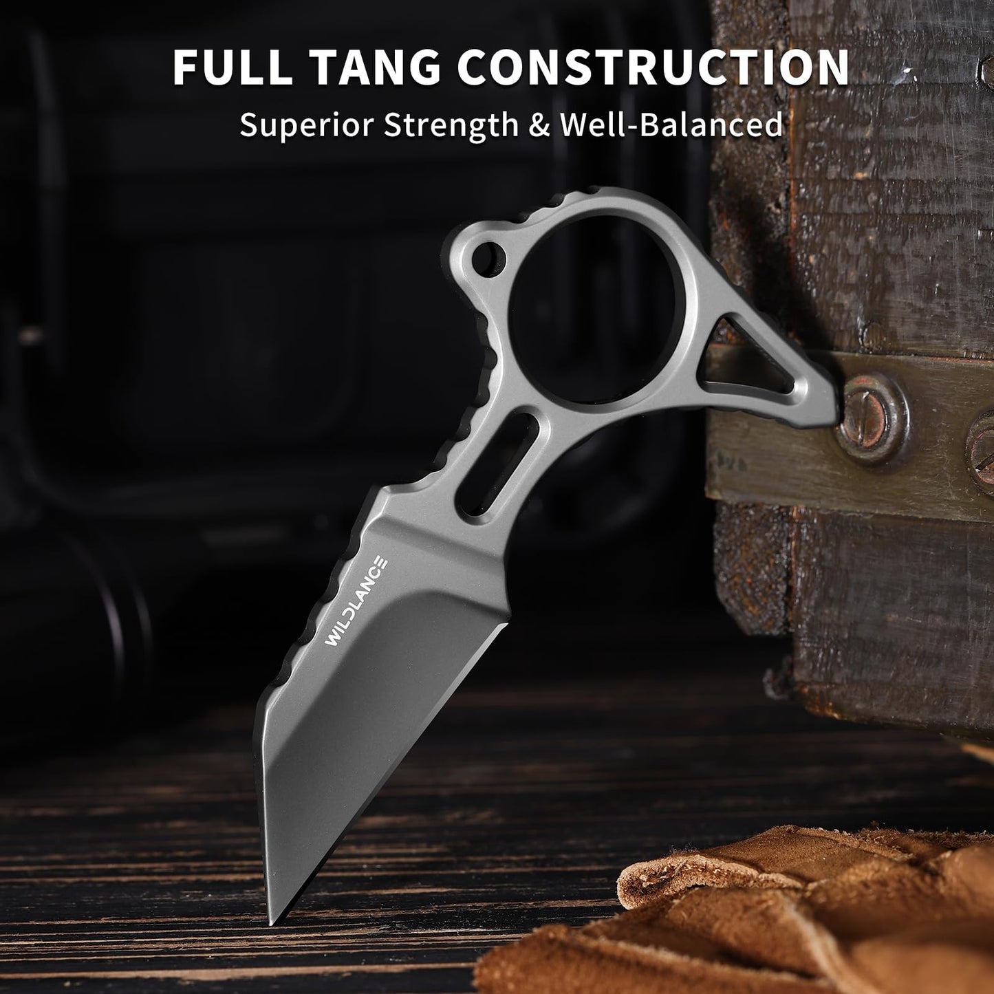 WILDLANCE EDC Fixed Blade Knife with Sheath, Camping Knife Fixed Blade 2.2" DC53 Steel Outdoor Survival Blade Full Tang Hunting Knives for Men Women IB-04, Silver