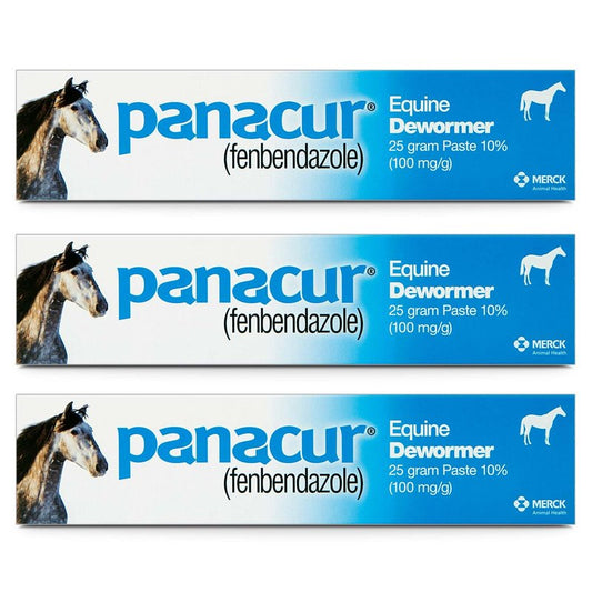 (3 Pack) PANACUR Dewormer Horse Paste 10%, 100mg Each