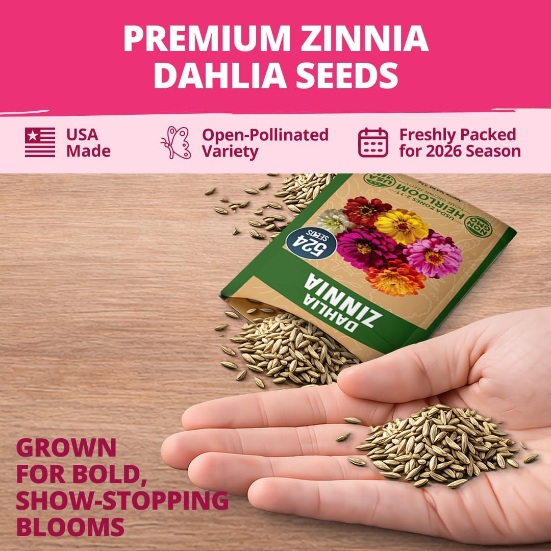 Zinnia Dahlia Seeds Pack - Non-GMO 524 Flower Seeds for Vibrant Pollinator Gardens | Easy-to-Grow Outdoor Blooms