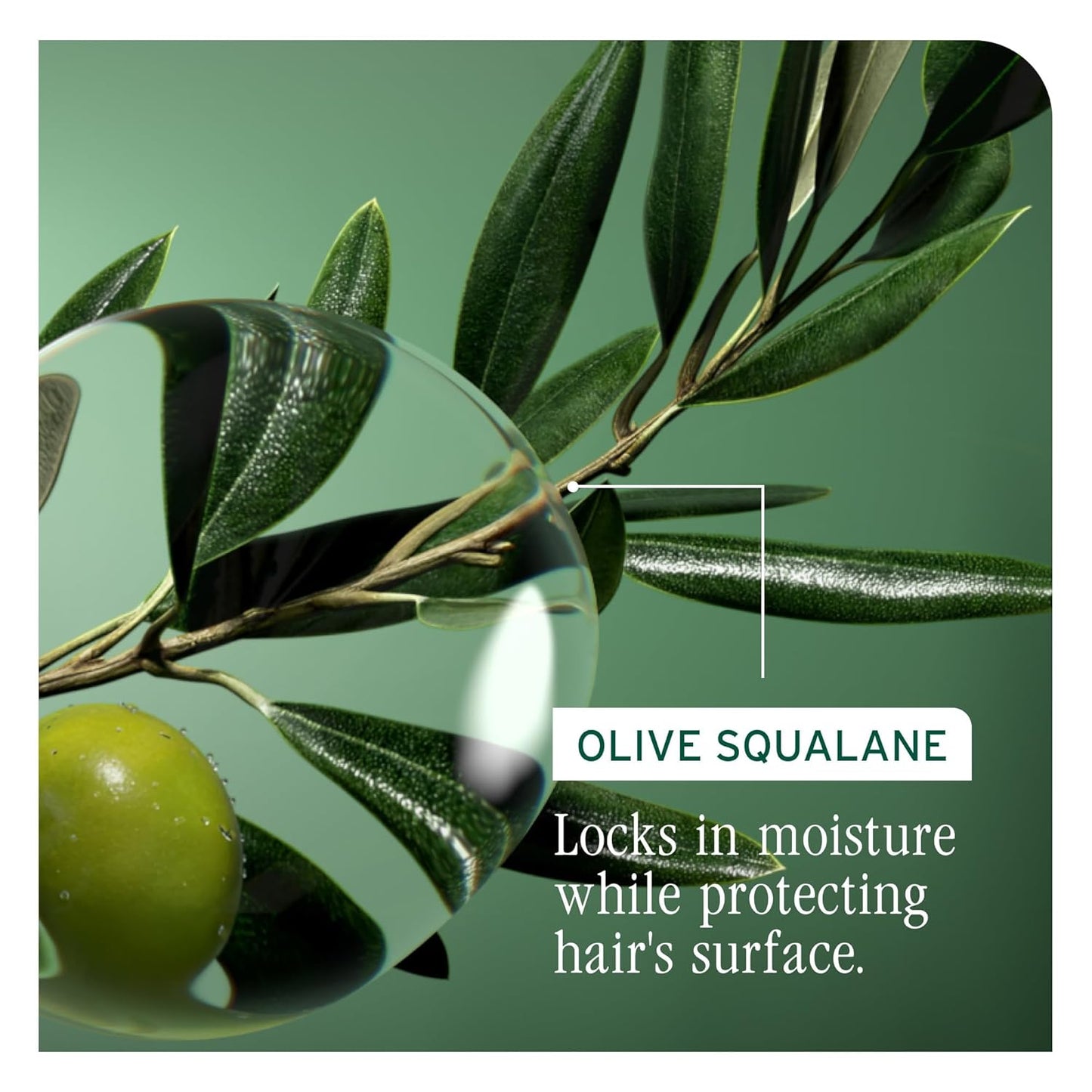 Biolage Strength Recovery Shampoo - Strengthens & Detangles Damaged Hair | Olive Squalane & Vegan Proteins