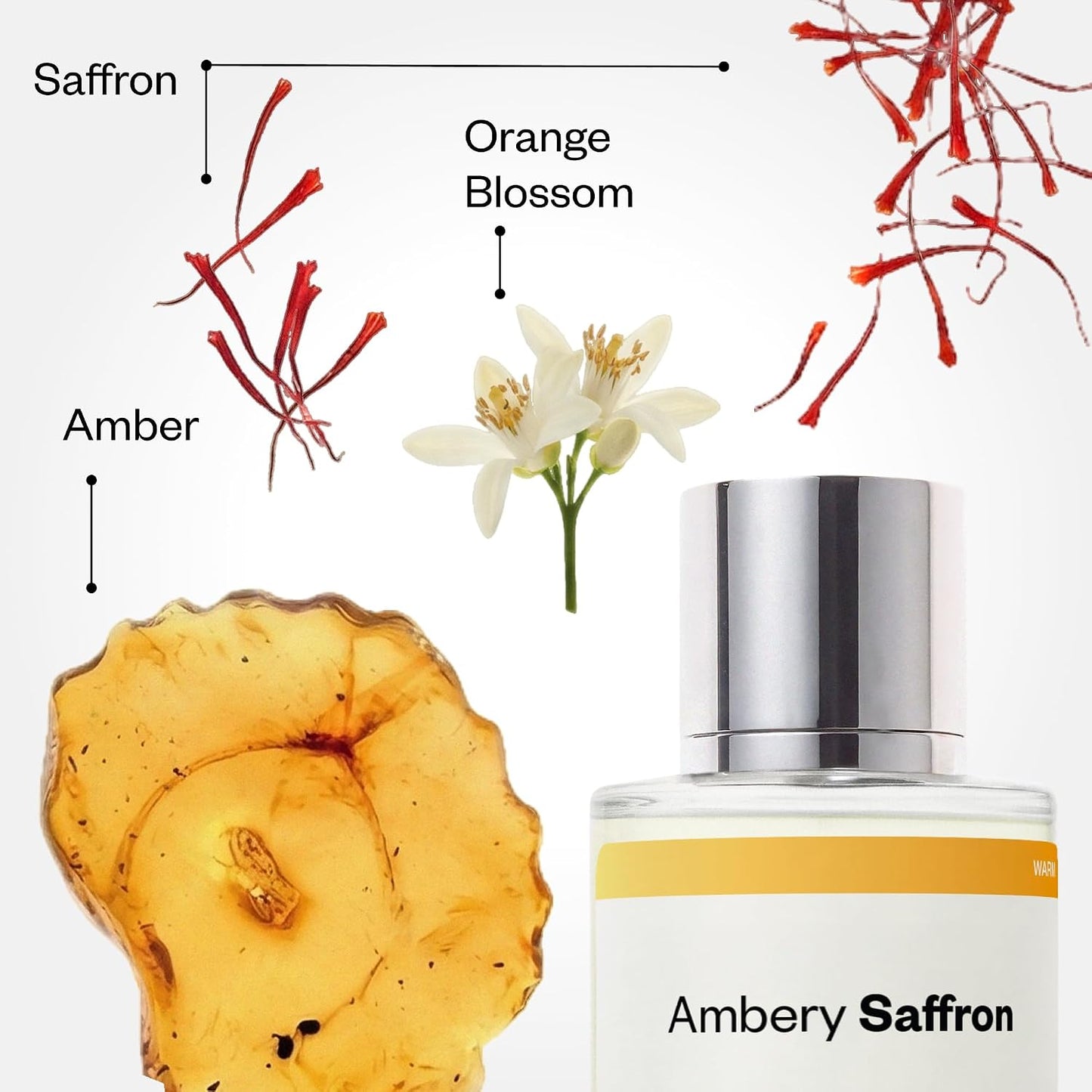 Ambery Saffron Eau de Parfum - Unisex Long-Lasting Fragrance | 1.7 fl oz (50ml)