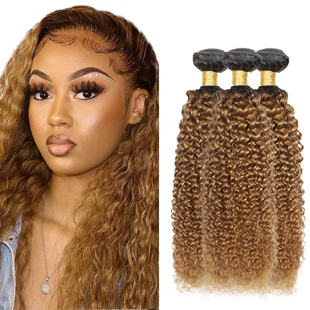 Ombre Human Hair Bundles 1b27 Honey Blonde Kinky Curly Bundles 16 18 20 Inch Unprocessed Brazilian Virgin Hair 3 Bundle Honey Blonde Bundle