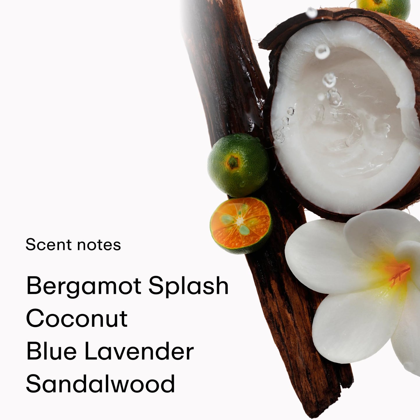 PHLUR Island Swim Body Mist, 8 Fl Oz - Hair and Body Perfume, Tropical Citrus Coconut Body Spray with Bergamot, Plumeria & Sandalwood Fragrance