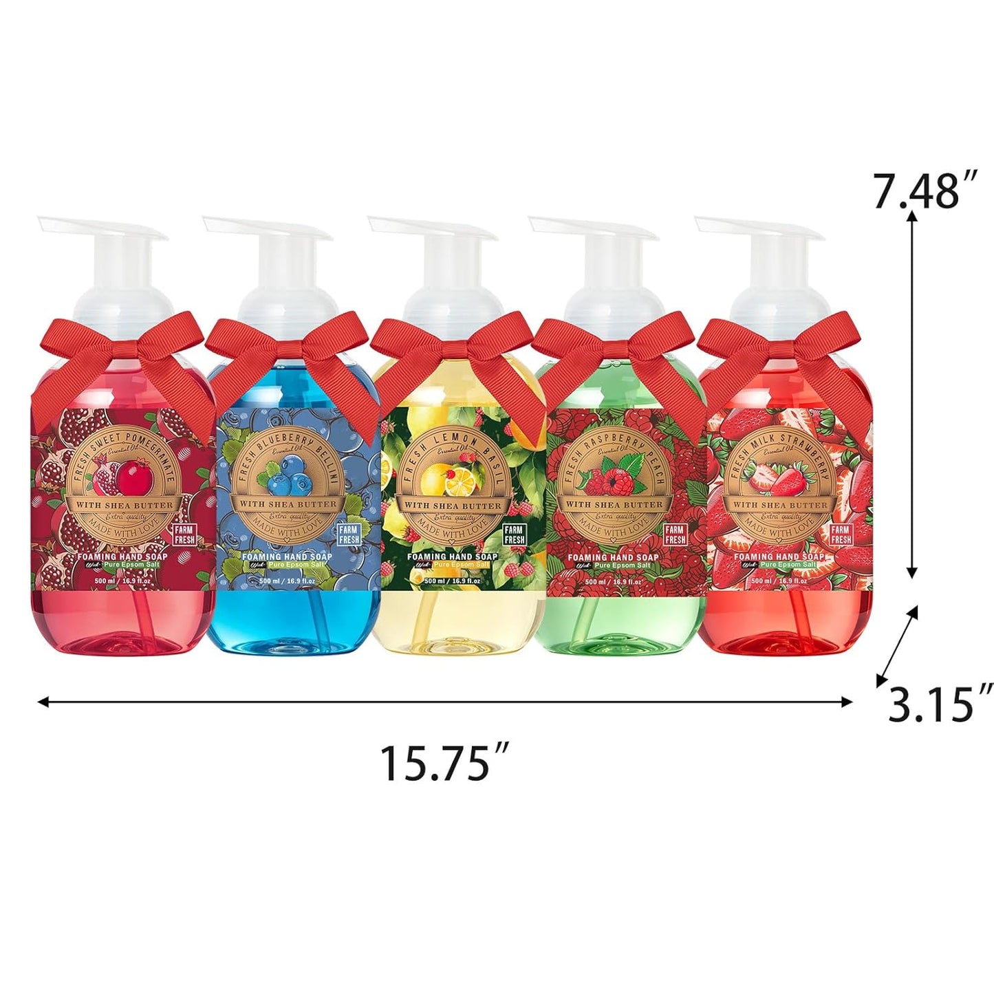 Foaming Hand Soap Gift Set - 5 Pack Fresh Fruit Scented Luxury Hand Wash | 16.9 fl. oz (500mL) with Gift Card & Premium Box