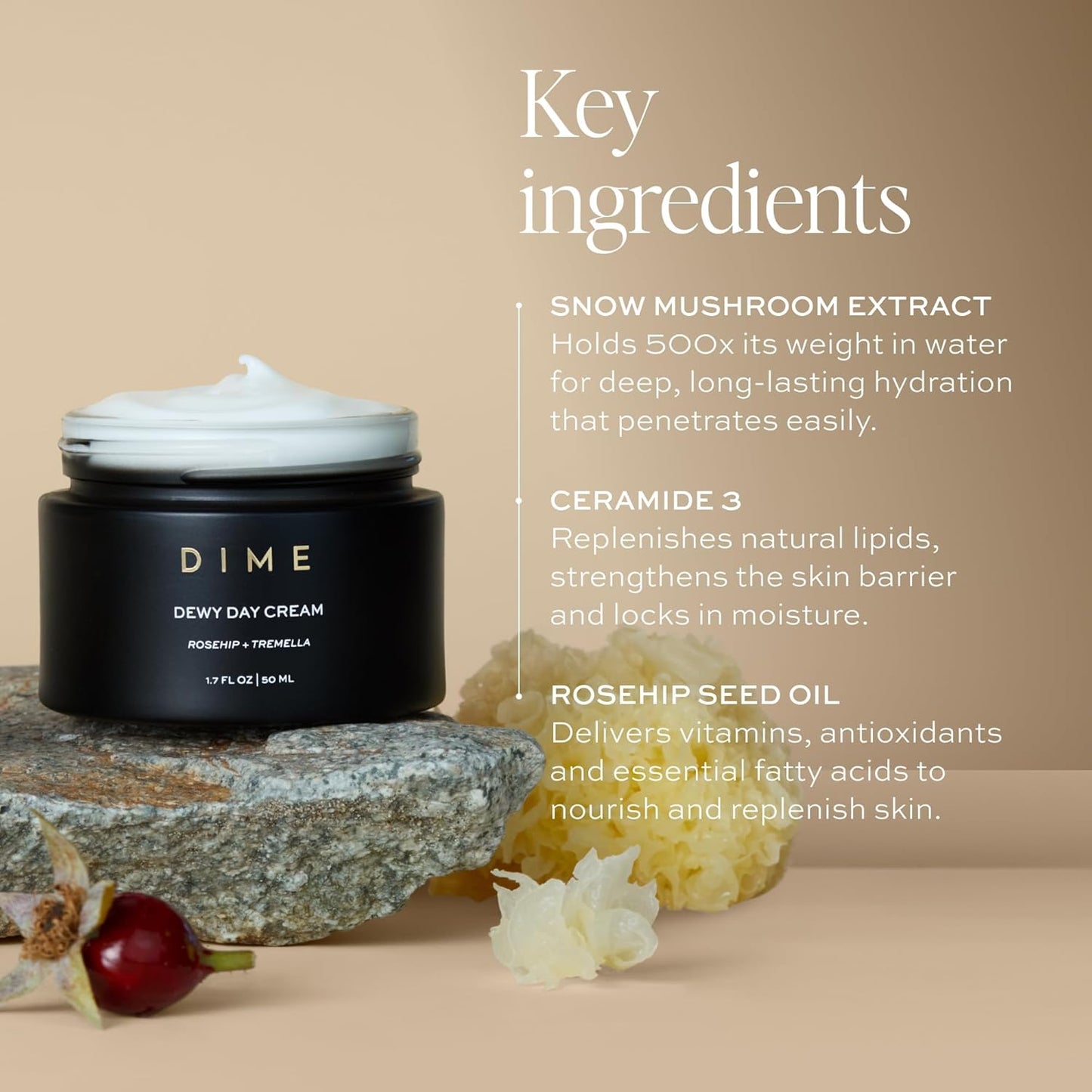 Dewy Day Cream - Anti-Aging Hydrating Face Moisturizer with Rosehip Oil & Ceramides | 1.7 oz / 50 ml