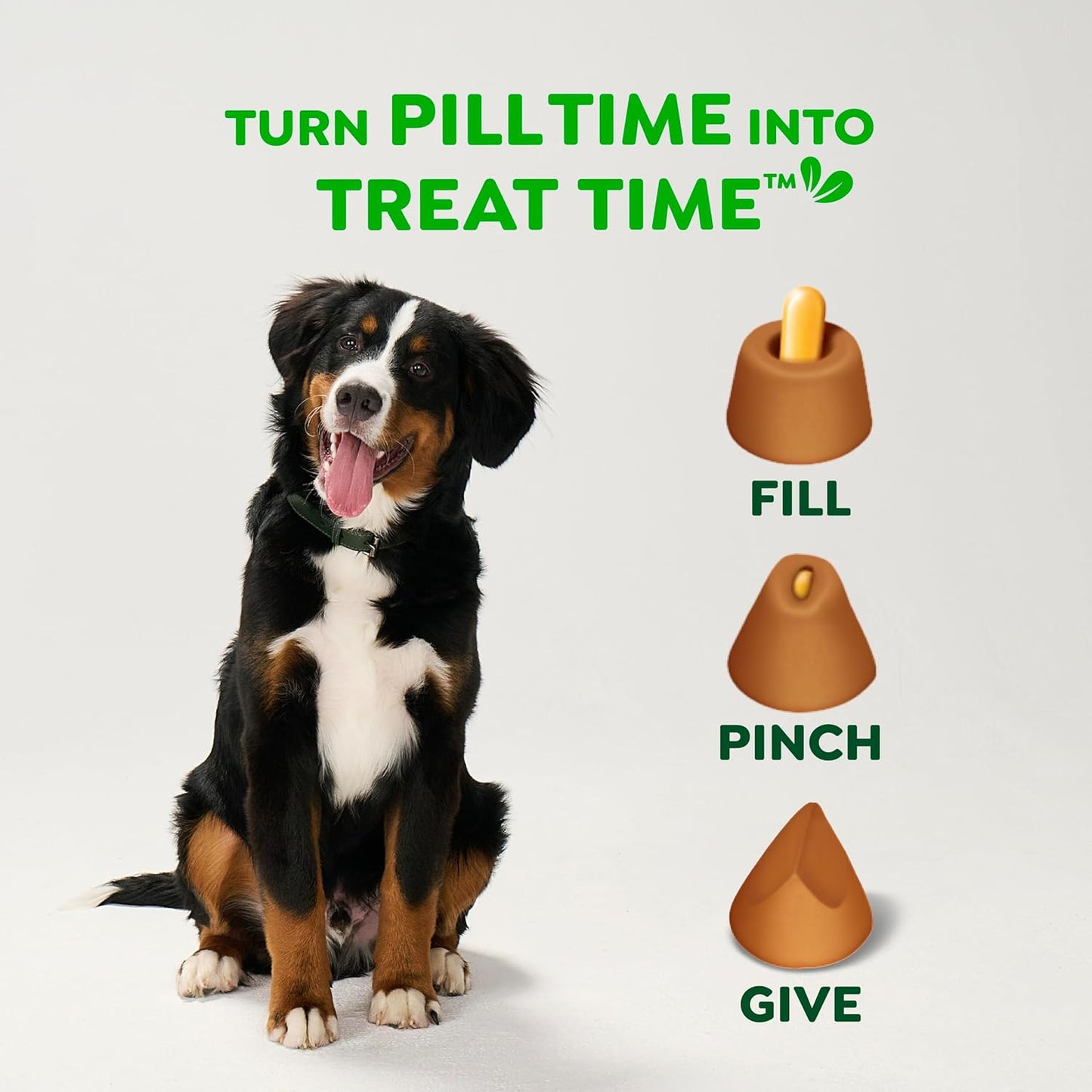 Greenies Pill Pockets for Dogs - Large Peanut Butter Treats for Medication | 15.8 oz Pouch