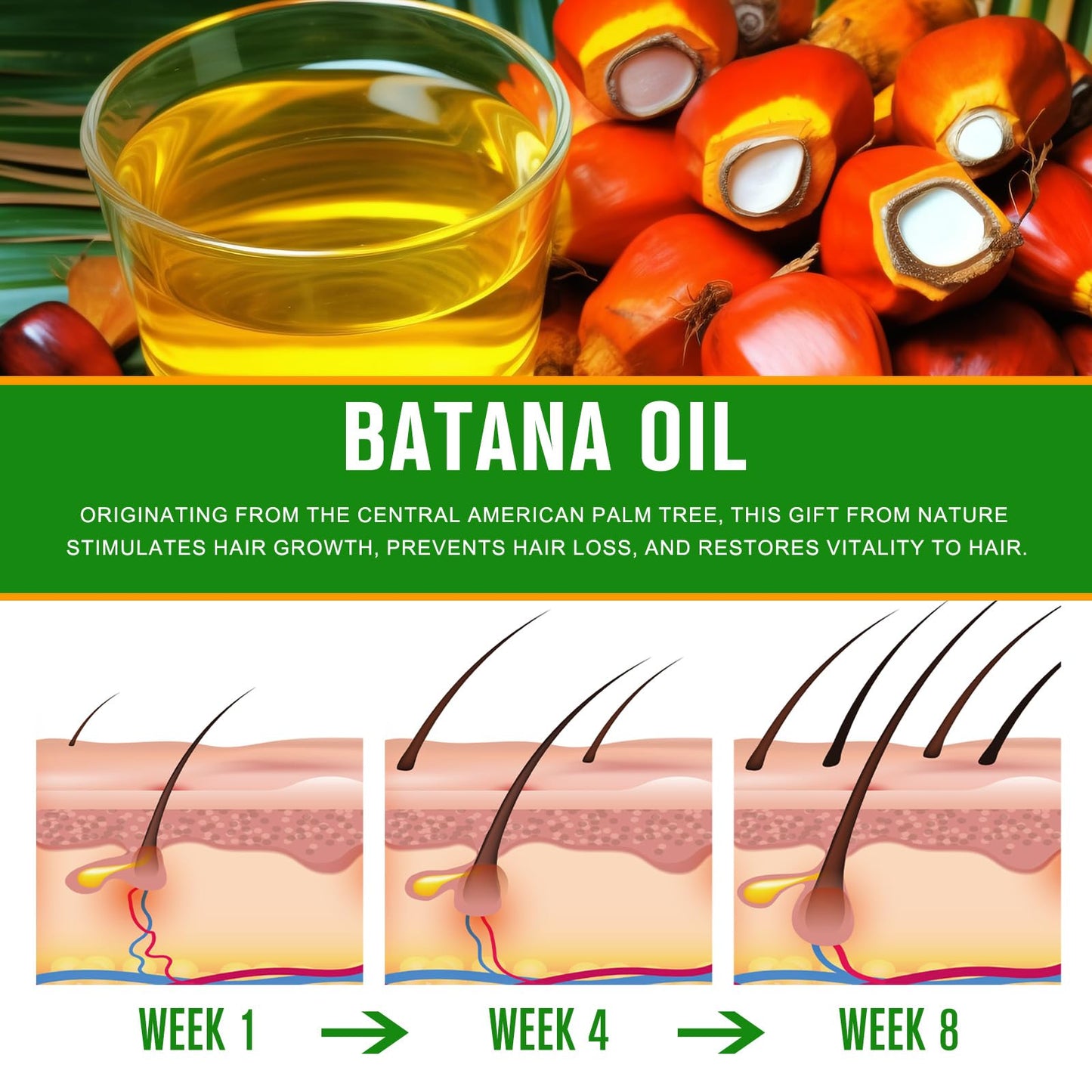 Dvoevivh 100% Cold-Pressed Batana Oil – Pure Hair Growth & Repair Oil, 4.04 Fl Oz | Natural & Chemical-Free Deep Nourishing Treatment for Scalp, Split Ends & Dry Hair