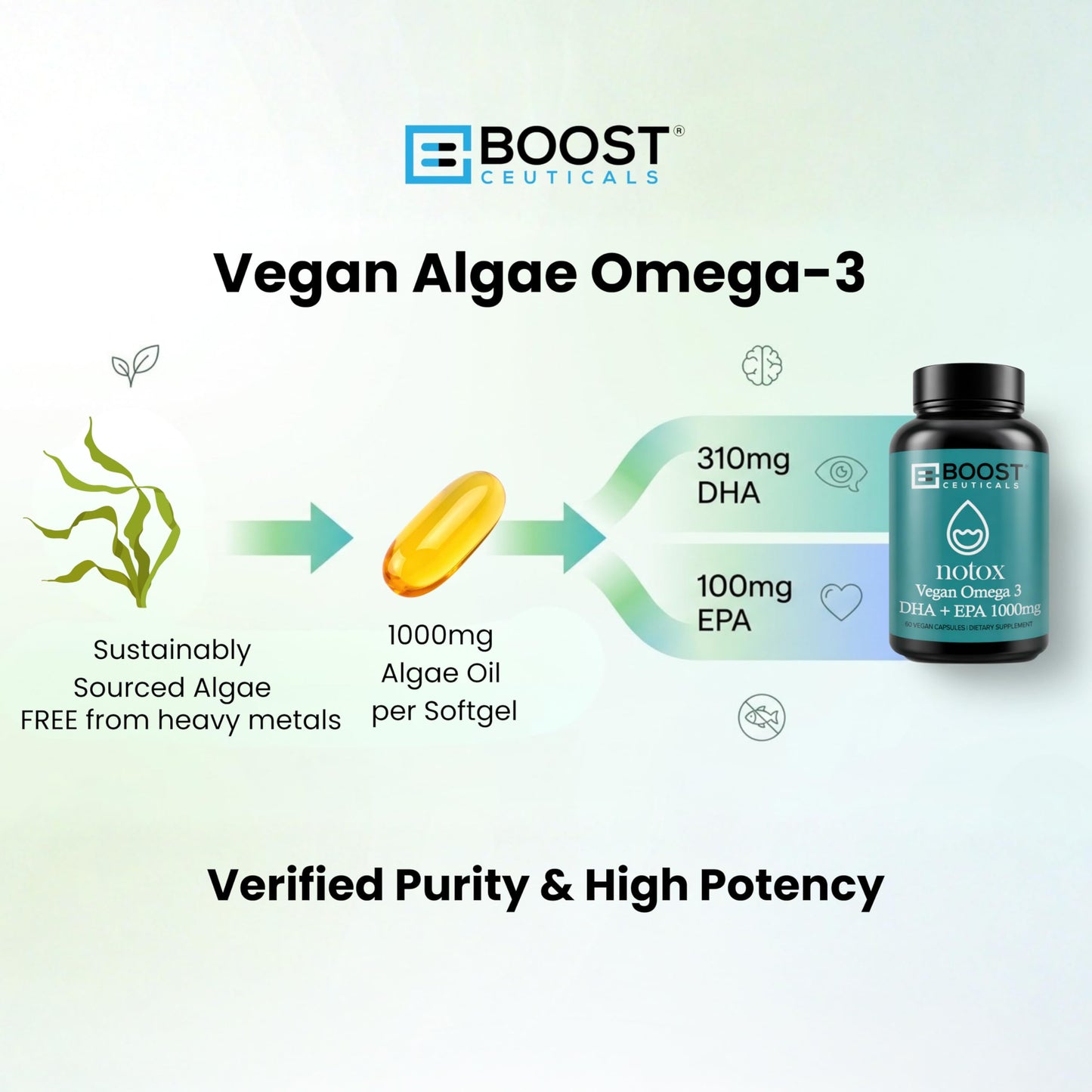 Vegan Omega 3 Algae DHA 410mg Supplement | No Fishy Aftertaste | Heart Brain | Schizochytrium sp DHA EPA Algae Oil 60ct
