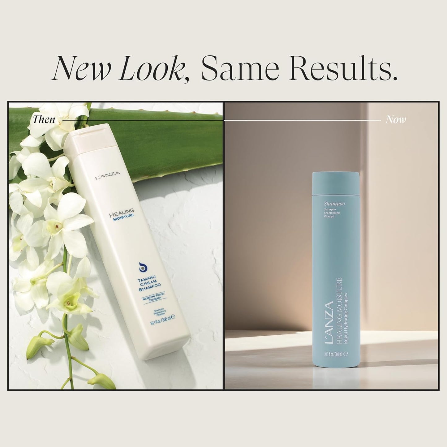 L'ANZA Healing Moisture Shampoo - Hydrating Formula for Damaged Hair | Sulfate-Free, Color Safe, Anti-Frizz, Deep Hydration