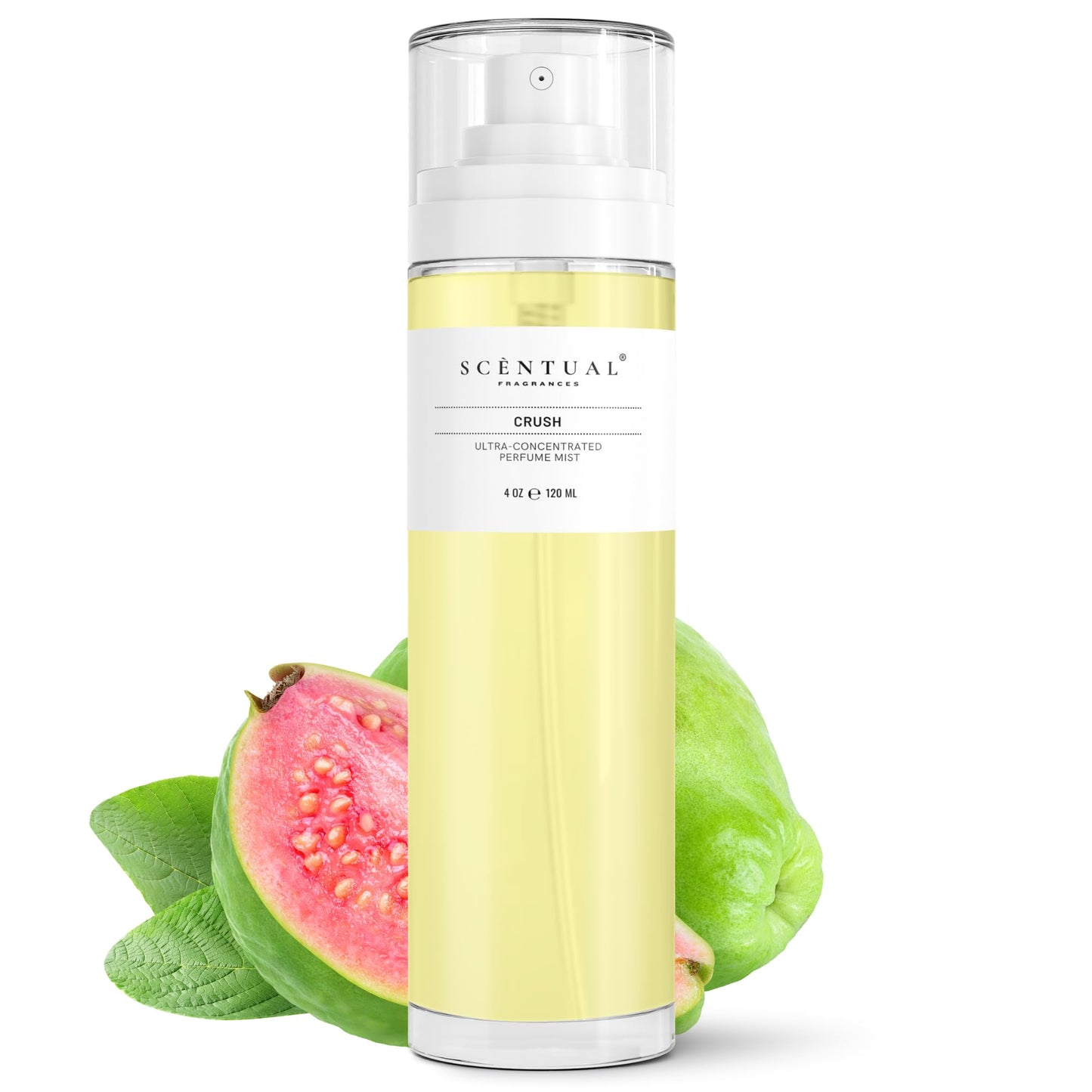 Scentual Fragrances, Crush Ultra-Concentrated Hair & Body Perfume Mist, Long Lasting Women's Fragrance, Gourmand Perfumes for Women, Vegan and Cruelty Free 4oz