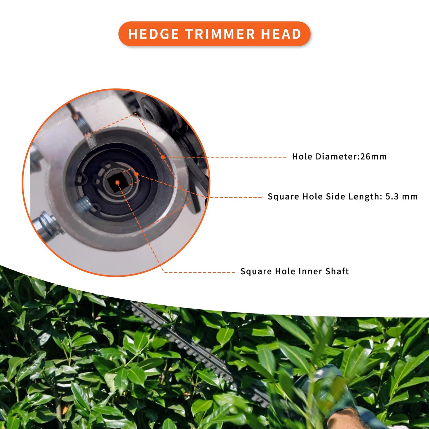 Hedge Trimmer Head, Double Blade Backpack Hedge Trimmer Head, 26mm Hedge Trimmer Blade Attachment Replacement Parts, 65 Manganese Steel Aluminum Alloy Hedge for Brush Cutters