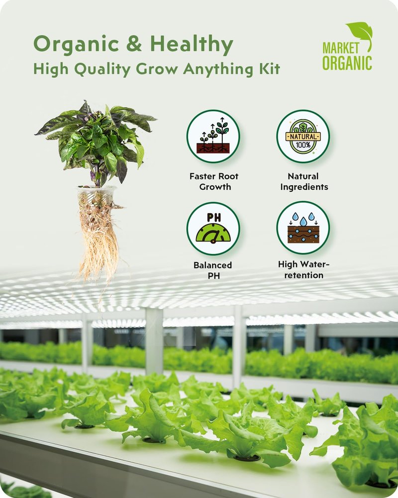 URUQ 140Pcs Hydroponic Pods Supplies: Compatible with AeroGarden Grow Anything Herb Kits - Includes Grow Sponges Grow Baskets Grow Domes Labels - Hydroponics Supplies for Most Brand