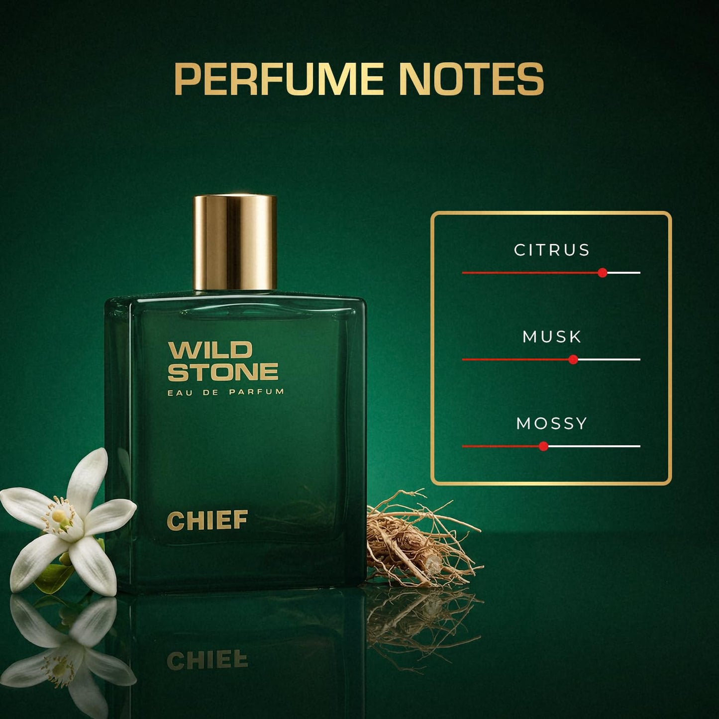 Wild Stone Chief Eau De Parfum - Intense Long-Lasting Men's Fragrance | 3.38oz (100ml)