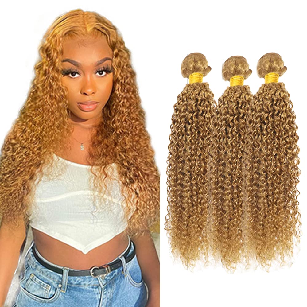 300g Honey Blonde Human Hair Bundles #27 Kinky Curly Bundles 24 26 28 inch Blonde Wet and Wavy Bundle Double Weft 300g