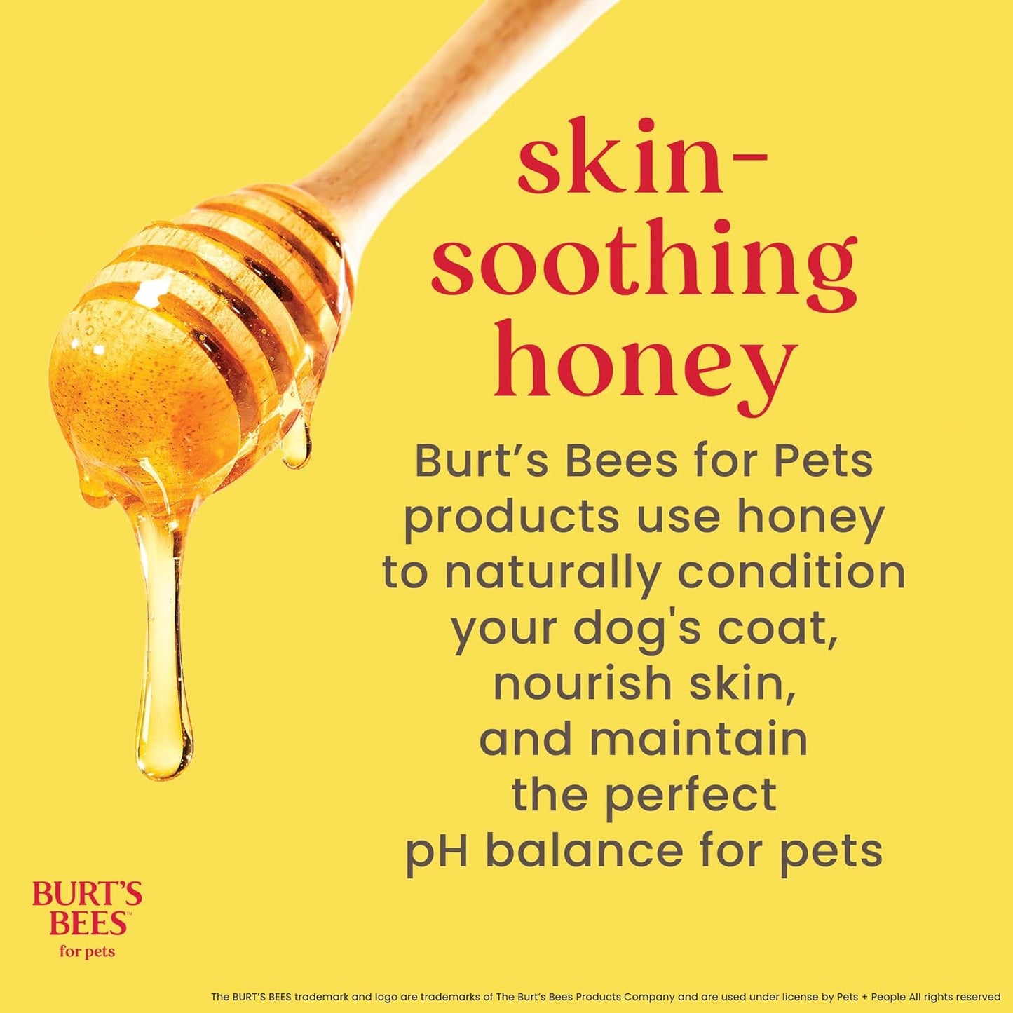 Burt's Bees Dog Detangling Spray - Natural Leave-in Coat & Deodorizing Grooming Spray | 10 Fl Oz, pH Balanced