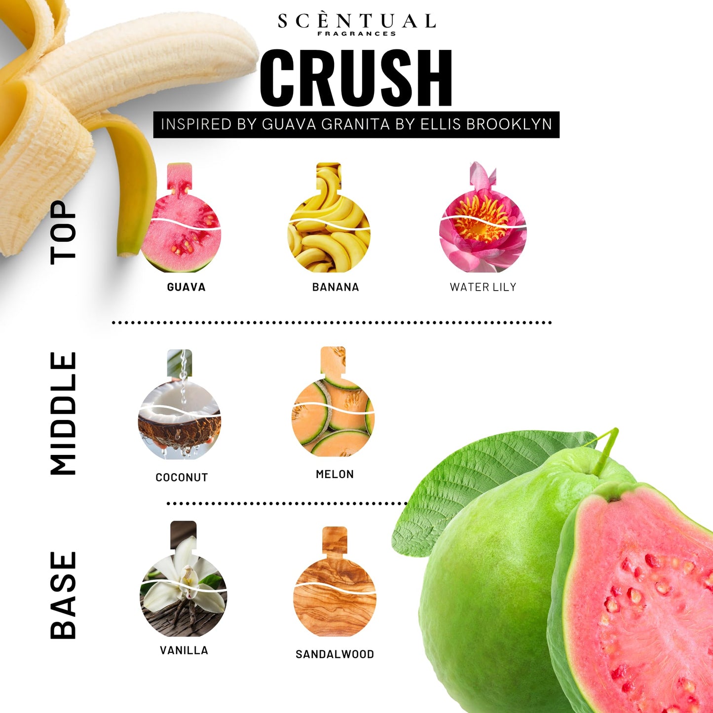 Scentual Fragrances, Crush Ultra-Concentrated Hair & Body Perfume Mist, Long Lasting Women's Fragrance, Gourmand Perfumes for Women, Vegan and Cruelty Free 4oz