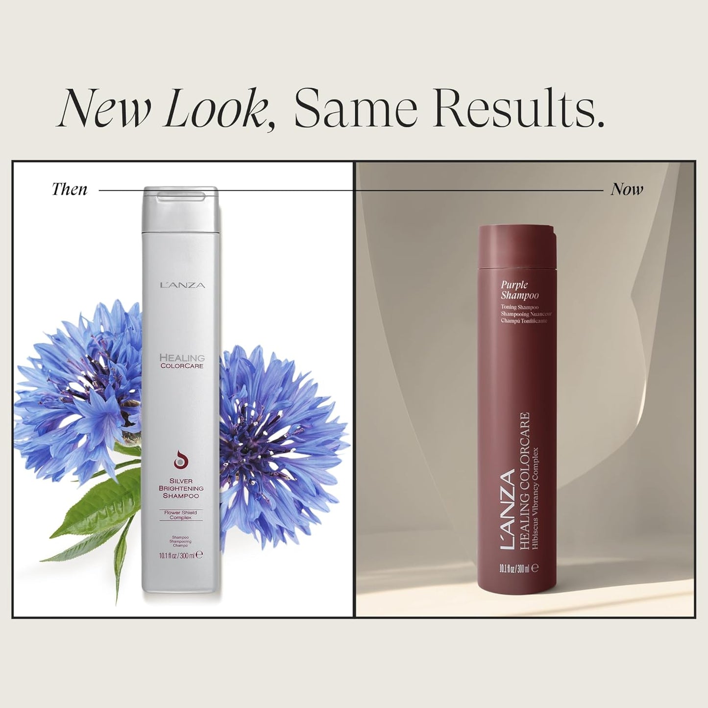 L'ANZA Healing Colorcare Purple Shampoo - Toning for Blondes & Highlights | Neutralizes Brass, Adds Shine, Sulfate-Free