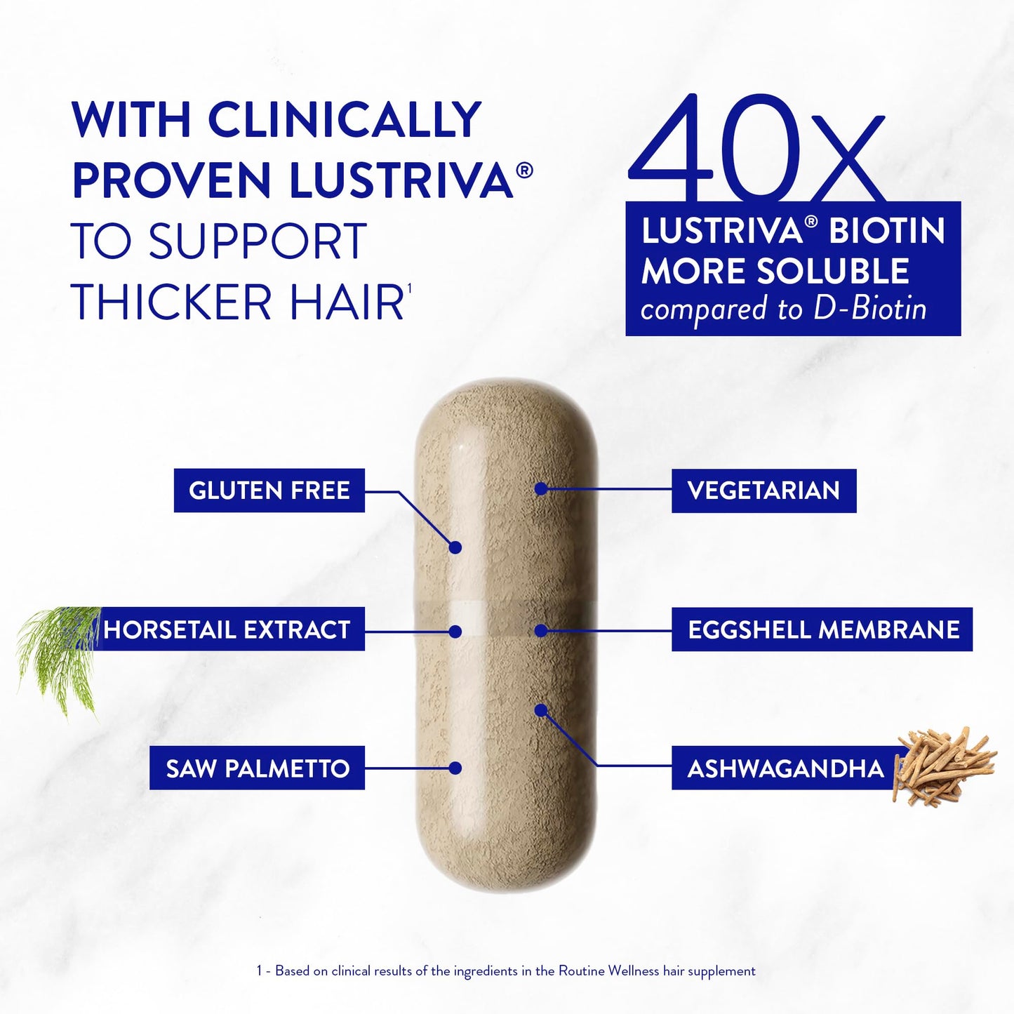 Routine Wellness Hair Thinning System, Anti-Thinning Shampoo & Conditioner Set Rose Hips + Hair Growth Supplement, Clinically Tested to Support Hair Growth