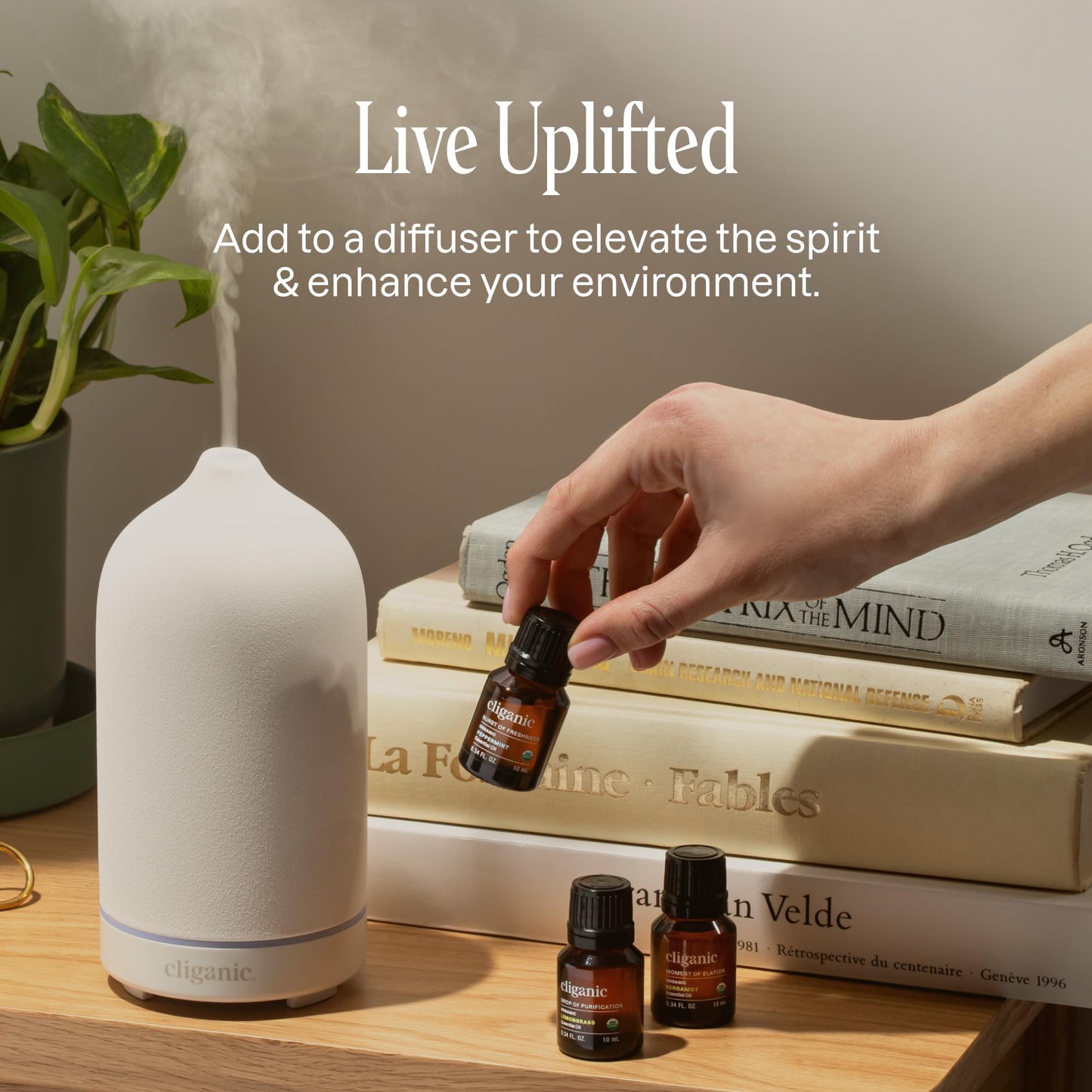 Cliganic Organic Lavender Essential Oil - 100% Pure Natural Undiluted, for Aromatherapy Diffuser | Non-GMO Verified