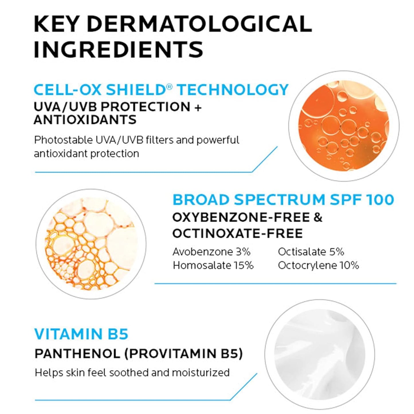 La Roche-Posay Anthelios Melt-In Milk Sunscreen SPF 100 - Broad Spectrum Protection for Face & Body | Oil-Free, Antioxidant-Rich Formula