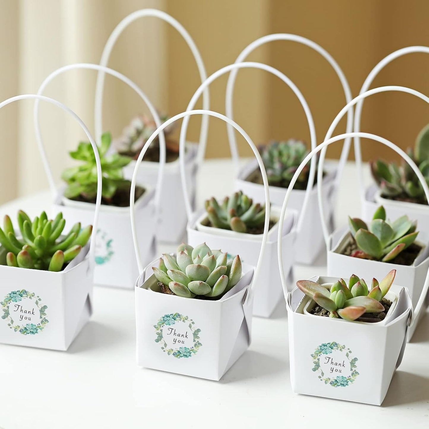 Thank You Succulent Wraps - 40pcs Decorative Sleeves for 2-Inch Pots | Ideal for Weddings & Baby Showers, White