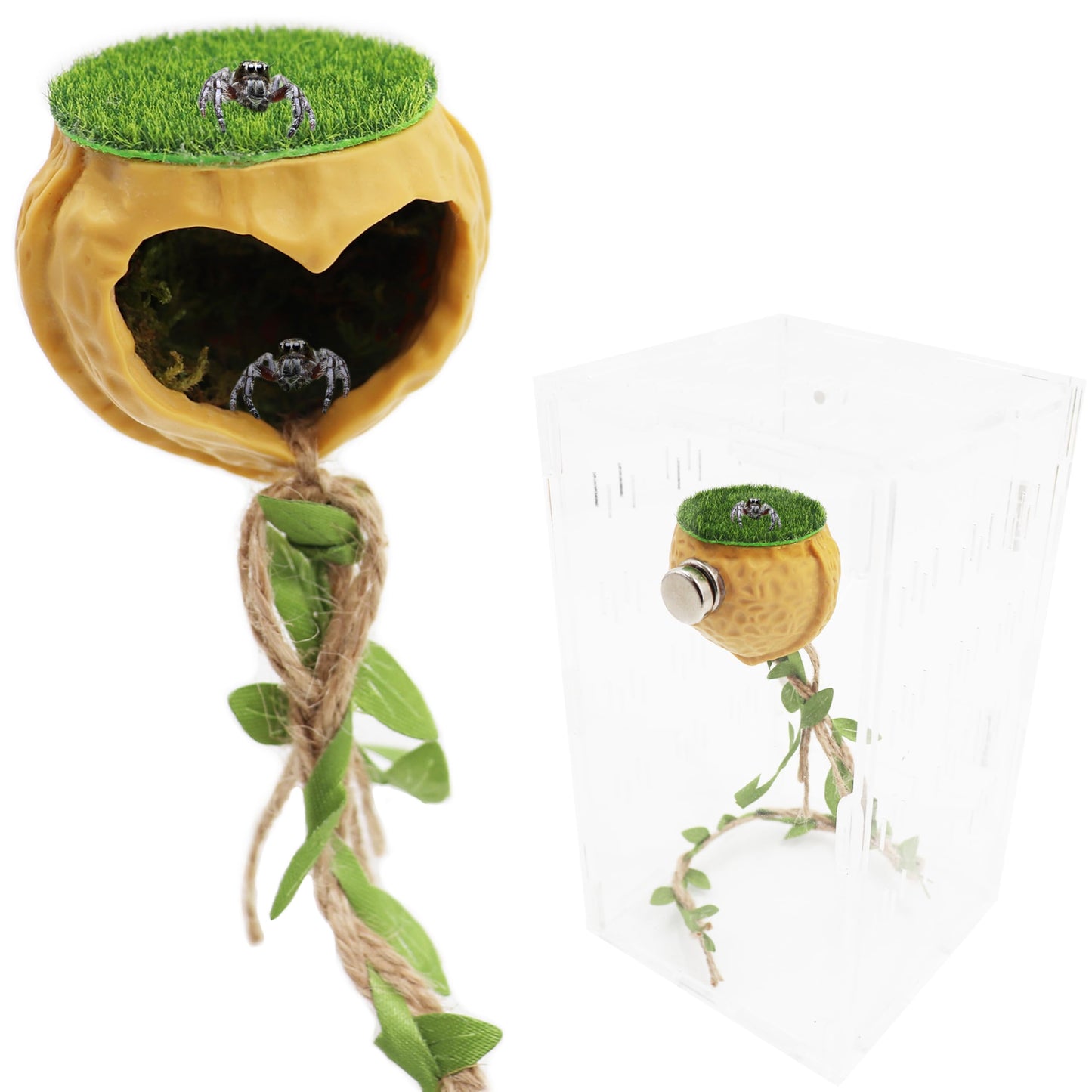 Magnetic Jumping Spider Hide Habitat, Jumping Spider Accessories, Jumping Spider Enclosure Accessories Decor, Climbing Platform, Suitable for Small Insects (2"X1.9")