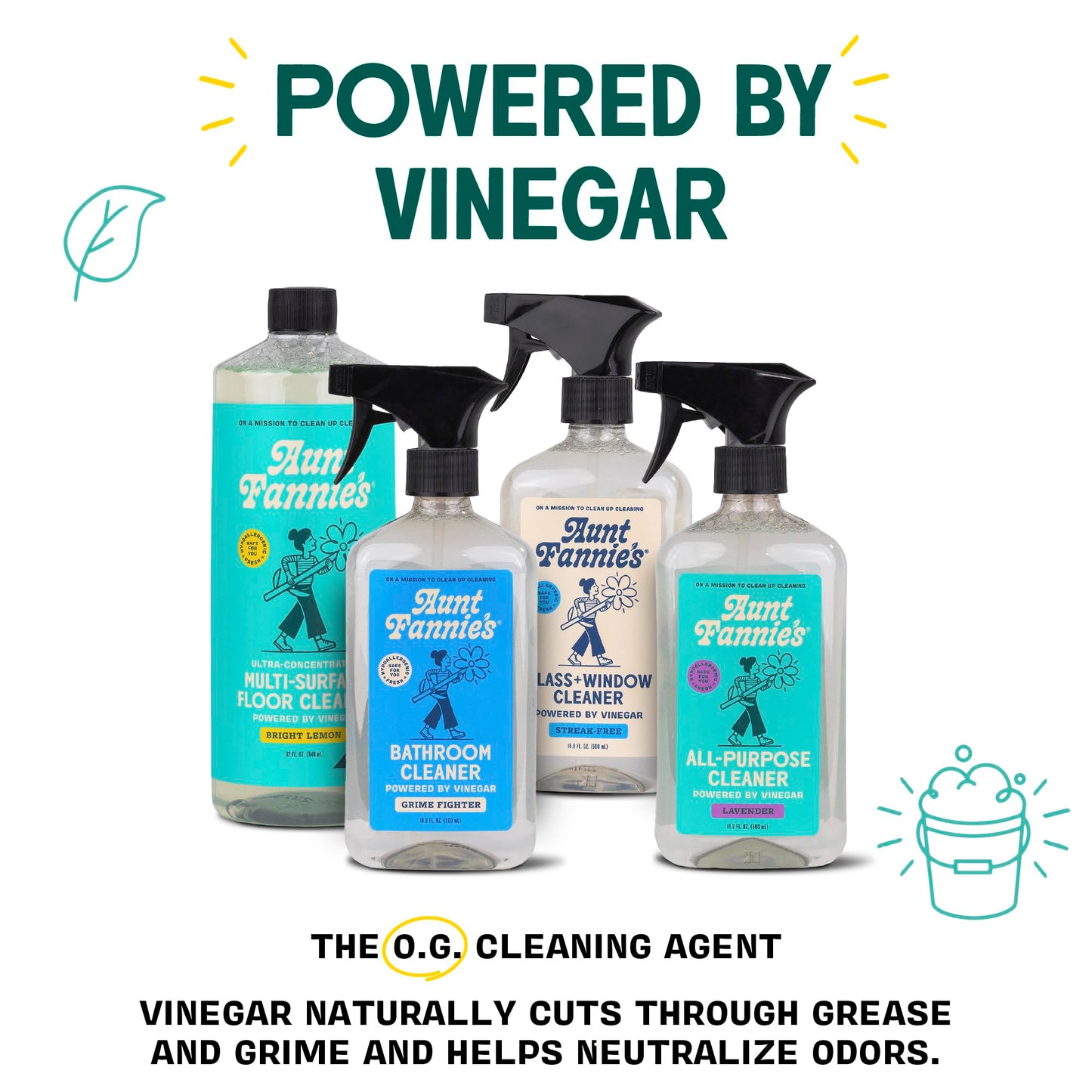 Aunt Fannie's Glass & Window Cleaning Vinegar Spray, Natural Streak-Free Spray, 16.9 Ounces (Pack of 1)