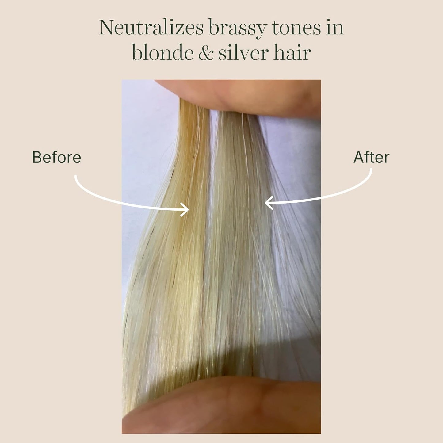Purple Shampoo for Blonde & Silver Hair - Reduce Yellow Tones | Sulfate-Free, Vegan - 13.5 fl oz