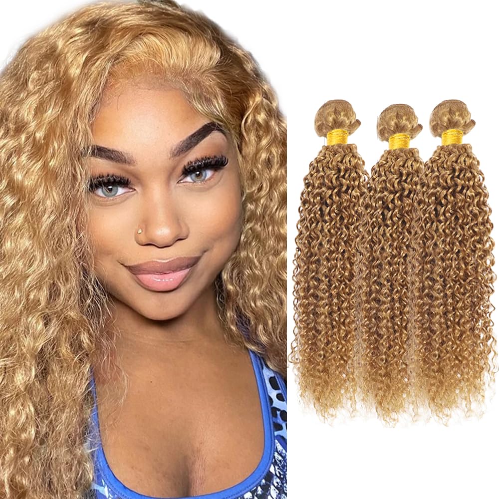 300g Blonde Bundles Human Hair 27 Kinky Curly Bundles Honey Blonde Bundle 18 18 18 inch #27 Wet and Wavy Human Hair Bundle 300g