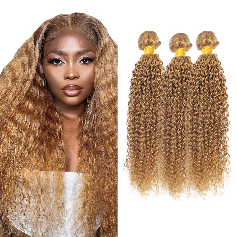 Blonde Bundles Human Hair Honey Blonde Curly Bundle 8A Brazilian Virgin Hair 3 Bundles 20 22 24 Inch Color 27 Bundle Soft Hair Extensions 300g