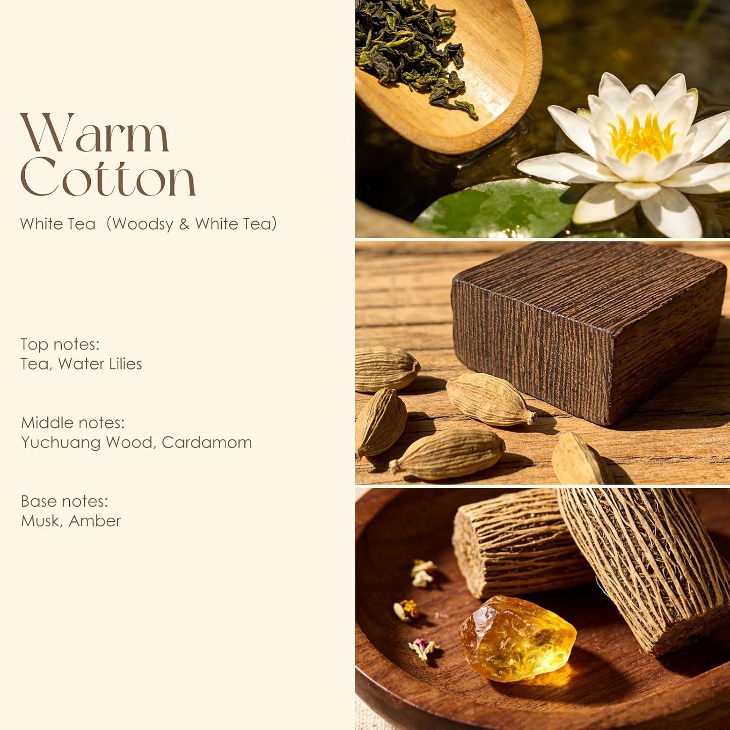 Women’s Perfume Discovery Set - 4 Travel-Size Floral, Citrus, Tea & Woody Scents | 10ml Each Eau de Toilette Gift Set