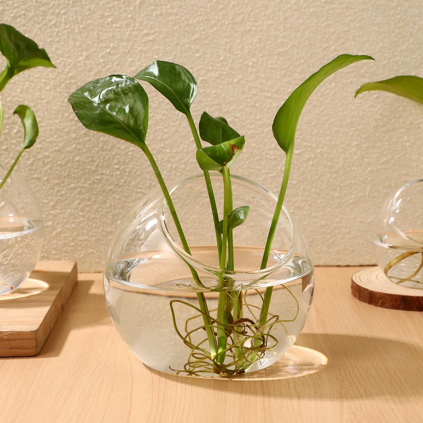 Healeved 3PCS Glass Terrariums for Plants Glass Fish Bowls Plant Terrarium Air Plant Planter Desktop Bubble Bowls Clear Vases Air Plants Holders Succulent Terrarium